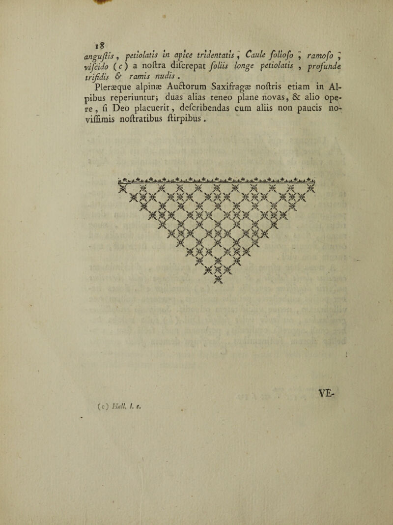 angujlis, petlolatis in apice tridentatis, Caule foliofo ^ ramofo ^ vifcido (c) a noftra difcrepat foliis longe petiolatis , profunde trifidis & ramis nudis . Pleraeque alpinae Au&orum Saxifragae noftris etiam in Al¬ pibus reperiuntur; duas alias teneo plane novas, & alio ope¬ re , ii Deo placuerit, defcribendas cum aliis non paucis no- viffimis noftratibus ftirpibus. ( XXXXXXXXX X XMXXXXXX X X X X X X X XXX XXX XXX laf y-x yx VE- (c) Hali /. f.