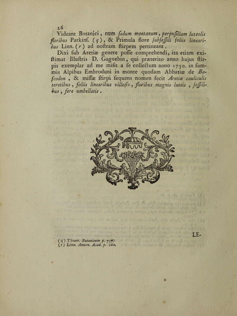 Videant Botanici, num fedum montanum , perpuflllum luteolis floribus Parkinf. ( q ) , & Primula flore fubfejjili foliis lineari¬ bus Linn. ( r ) ad noflram ftirpem pertineant. Dixi fub Aretiae genere pofle comprehendi, ita etiam exi- ftimat Illuftris D. Gagnebin, qui praeterito anno hujus ftir- pis exemplar ad me miflt a fe colleclum anno 1730. in fum- mis Alpibus Embroduni in monte quodam Abbatiae de Bo- fcoclon , & miflae ftirpi fequens nomen fecit Areticz cauliculis teretibus , foliis linearibus villo fis, floribus magnis luteis , ftjfili- hus 7 fere umbellatis . LE- (q) Tbeatr. Botanicum p. 737.’ (r) Linn. Amosn, Acad. p. 160.