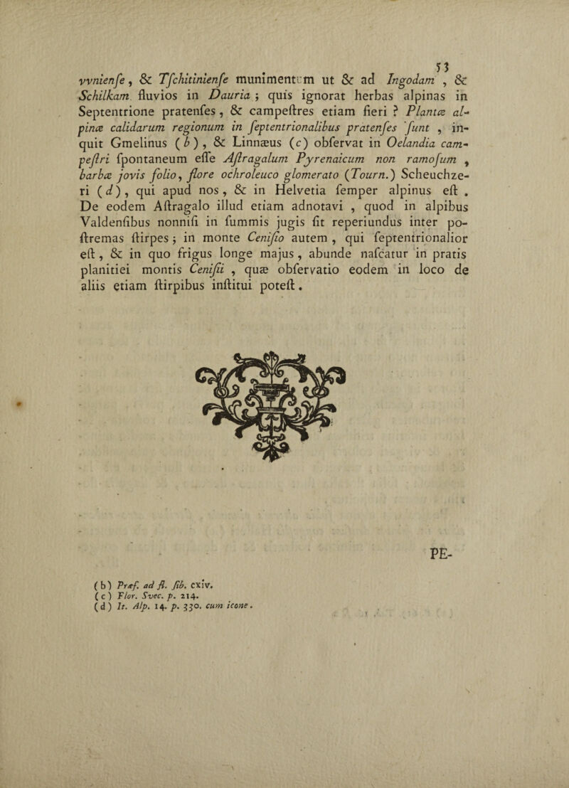 vvnienfe, & Tfchitinienfe munimentum ut & ad Ingodam , & Schiikam. fluvios in Dauria ; quis ignorat herbas alpinas in Septentrione pratenfes, & campeftres etiam fieri ? Planta aU pina calidarum regionum in feptentrionalibus pratenfes flunt , in¬ quit Gmeiinus (£), & Linnseus (c) obfervat in Oelandia cam- peflri fpontaneum efle Ajlragalum Pyrenaicum non ramofum 9 barba jovis folio, flore ochroleuco glomerato (Tourn.) Scheuchze- ri (</), qui apud nos, & in Helvetia femper alpinus eft . De eodem Aftragalo illud etiam adnotavi , quod in alpibus Valdenfibus nonnifi in fummis jugis fit reperiundus inter po- flremas ftirpes ; in monte Ceniflo autem , qui feptentrionalior eft , & in quo frigus longe majus , abunde nafcatur in pratis planitiei montis Cenifli , quse obfervatio eodem in loco de aliis etiam ftirpibus inftitui poteft. ( b} Pttef. ad fi- fib. cxiv. ( c ) Flor. Svec. p. 214. (d) h. Alp. 14. p. 330. cum icone.