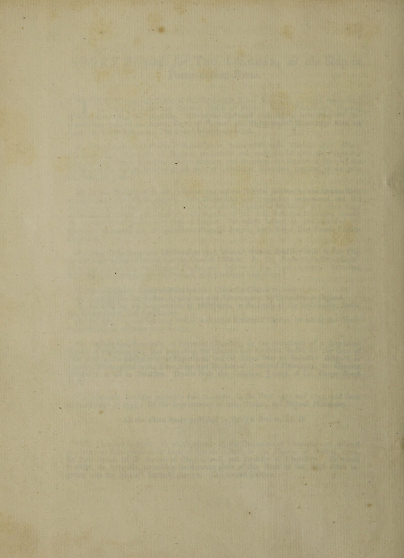 . ■ ■ • • v'* ' . . - t ■ t ■ ■ . - - <■. i ■ ■ .  • . ■ -