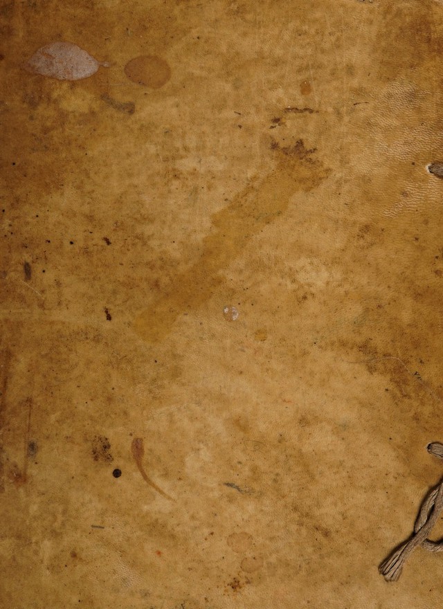 digitised image 1