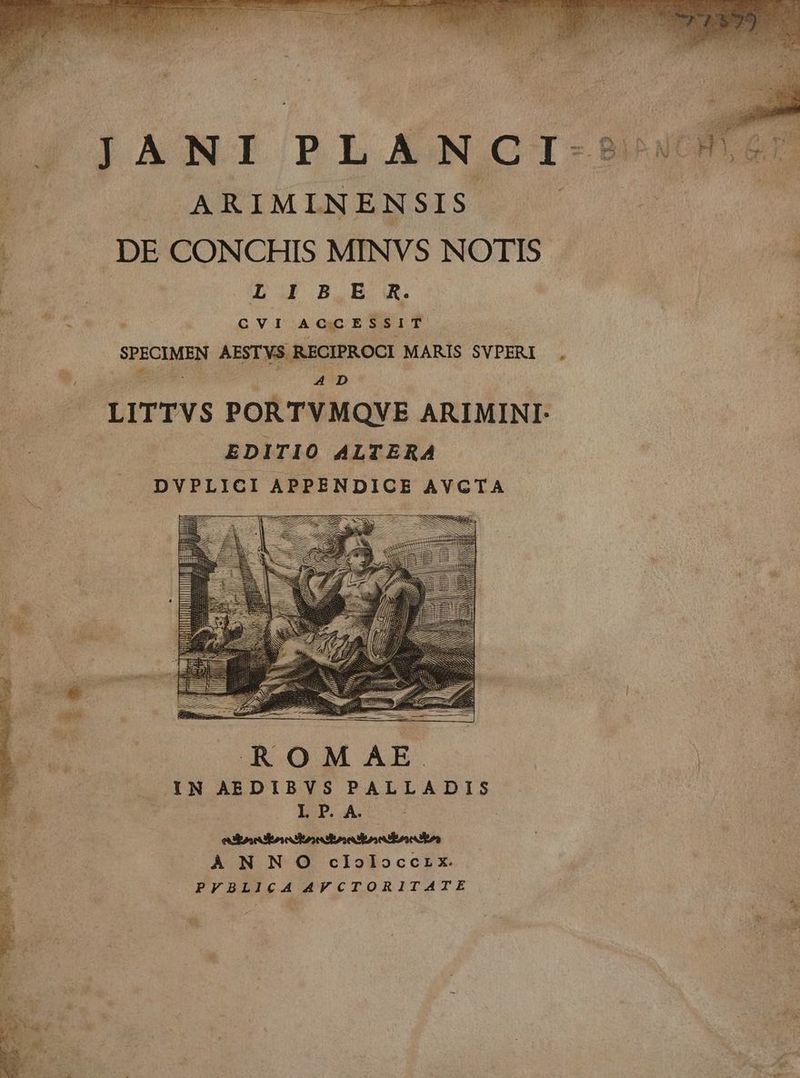 b | ARIMINENSIS. Mu 1 DE CONCHIS MINVS NOTIS L5. Qu B3 B X. adii CVI ACCESSIT host) AESTVS. RECIPROCI MARIS SVPERI , e. Xs ub A D LITTVS PORTVMQVE ARIMINI- EDITIO ALTERA DVPLICI APPENDICE AVCTA Lua iei o RAE ROM AE IN AEDIBVS PALLADIS IPA E À NN O cloloccrx. PVFBLICA AVCTORITATE