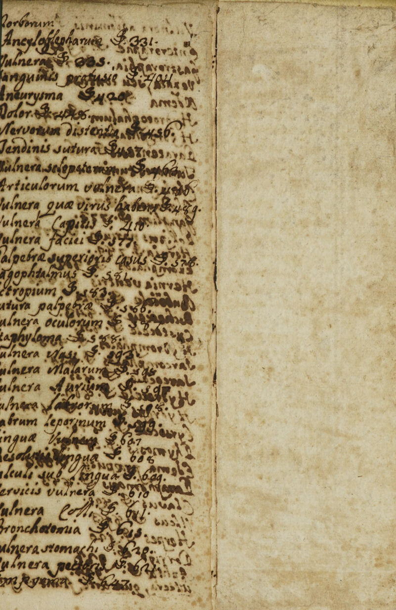 tniuryjm* ?y#r. 4 QJf\&LnU %JbtftfY t«/n i*A~it/tpafa msb faiitultrum (ftib£h* M h.ncra p utX ttI'Yn} ’&k$t> bfnirji fi&fj %ZLff 'ufrtra ffciiiiPfJYp, - S5W1J i ctryniAtnsPtft iAlnes\ ftulbfjjr umQxfi. wmAi jp? v Intra waferu 'ufiitYa sttlifuf esvicu vu,r*-rA %/nerA \foncA*thru\ v 'pintfA mtSifP