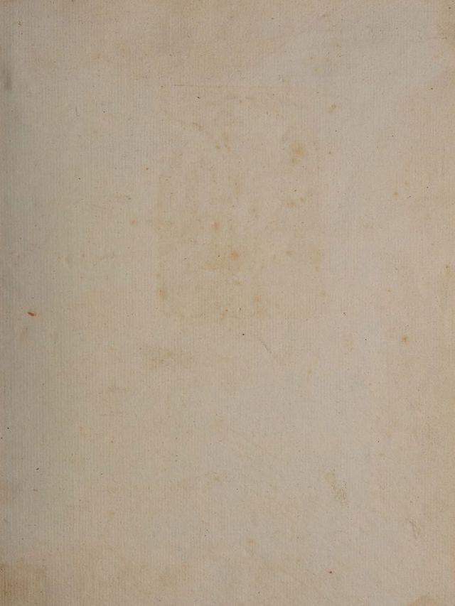 digitised image 3
