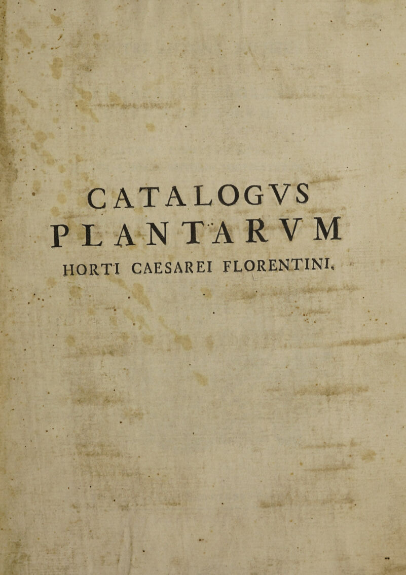 HORTI CAESAREI FLORENTINI,