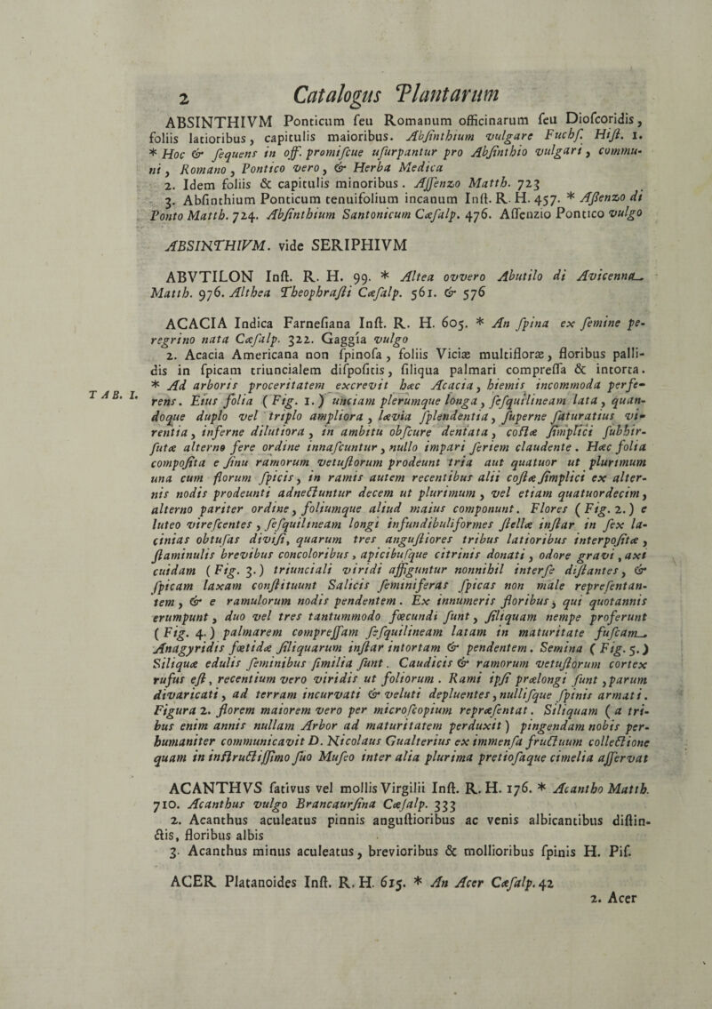 T AB. I ABSINTHIVM Ponticum feu Romanum officinarum feu Diofcoridis, foliis latioribus, capitulis maioribus. Abflnthium vulgare Fuchf. Hifl. i. * Hoc & fequens in ojf. promifcue ufurpantur pro Abflnthio vulgari y commu¬ ni , Romano , Pontico vero, & Herba Medica 3. Abfinthium Ponticum tenuifolium incanum Inft. R.H. 457. * Aflenzo di Ponto Matth. 724. Abflnthium Santonicum Ccefalp. 476. Aflenzio Pontico vulgo ABSIHEHIVM. vide SERIPHIVM ABVTILON Inft. R. H. 99. * Altea ovvero Abutilo di Avicenna^ Matth. 976. Althea Theophrafli Ccefalp. 561. & 576 ACACIA Indica Farnefiana Inft. R. H. 605. * An /pina ex femine pe¬ regrino nata Ccefalp. 322. Gaggia vulgo 2. Acacia Americana non fpinofa , foliis Viciae multiflorae, floribus palli¬ dis in fpicam triuncialem difpofitis, filiqua palmari comprefla & intorta. * Ad arboris proceritatem excrevit hcec Acacia, hiemis incommoda perfe~ ' rens. Eius folia ( Fig. 1.) unciam plerumque longa , fefqutiineam lata , quan¬ doque duplo vel triplo ampliora , laevia fplendentia, fuperne fatur atius vi- rentia, inferne dilutiora , in ambitu obfcure dentata, cofl<e Jtmplici fubhir- futce alterno fere ordine innafcuntur , nullo impari friem claudente . H<ec folia compofita e Jinu ramorum vetuftorum prodeunt tria aut quatuor ut plurimum una cum florum fpicis, in ramis autem recentibus alii coflee Jtmplici ex alter¬ nis nodis prodeunti adneCluntur decem ut plurimum , vel etiam quatuordecim, alterno pariter ordine, foliumque aliud maius componunt. Flores (Fig. 2.) e luteo vire flentes , fefqutiineam longi infundibuliformes felice inflar in fex la¬ cinias obtufas divifl, quarum tres angufiores tribus latioribus interpoftce , fiaminulis brevibus concoloribus , apicibufque citrinis donati , odore gravi , axi cuidam (Fig. 3.) triunciali viridi affiguntur nonnihil interfe difl antes, & fpicam laxam conflituunt Salicis feminiferas fpicas non male reprefentan- tem y & e ramulorum nodis pendentem. Ex innumeris floribus, qui quotannis erumpunt, duo vel tres tantummodo foecundi funt, flltquam nempe proferunt (Fig. 4.) palmarem compreffam fefquilineam latam in maturitate fuflam.— Anagyridis foetidae Jiliquarum infiar intortam & pendentem. Semina (Fig. 5.) Siliquae edulis feminibus fimilia funt. Caudicis & ramorum vetuflorum cortex rufus efl, recentium vero viridis ut foliorum . Rami ipfi praelongi funt yparum divaricati y ad terram incurvati & v eluti depluentesynullifque fpinis armati. Figura 2. florem maiorem vero per microfcopiutn repraefentat. Siliquam ( a tri¬ bus enim annis nullam Arbor ad maturitatem perduxit) pingendam nobis per¬ humaniter communicavit D. Kicolaus Gualterius ex immenfa fruCtuum colleflione quam in inflruftijflmo fuo Mufeo inter alia plurima pretiofaque cimelia ajfervat ACANTHVS fativus vel mollis Virgilii Inft. R. H. 176. * Acantho Matth. 710. Acanthus vulgo Brancaurflna Coejalp. 333 2. Acanthus aculeatus pinnis anguftioribus ac venis albicantibus diftin- <ftis, floribus albis 3. Acanthus minus aculeatus, brevioribus & mollioribus fpinis H. Pif. ACER Platanoides Inft. R. H. 615. * An Acer Ccefalp. 42 2. Acer