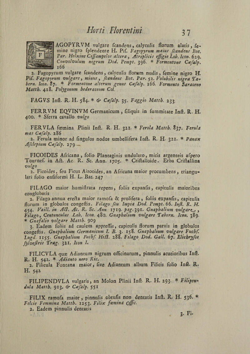 AGOPYRVM vulgare fcandens, calyculis florum alatis, fe¬ mine nigro fplcndente H. Pif. Fagopyrum maius fcandens Bot. Par. Helxine CiJJ,'ampelos altera, Atriplicis effigie Lob. Icon. 629. Convolvulum nigrum Dod. Pempt. 396. * Formentone Coefalp. 166 2. Fagopyrum vulgare fcandens, calyculis florum nudis, femine nigro H. Pif. Fagopyrum vulgare, minus, fcandens Bot. Par. 52. Volubilis nigra Ta- bern. Icon. 87. * Formsntone alterum genus Coefalp. 166. Formento Saraceno Mattb. 418. Polygonum hederaceum Coi. FAGVS Inft. R. H. 584. * & Coefalp. 35. Faggio Mattb. 233 FERRVM EQVINVM Germanicum, Aliquis in fummitate Inft. R. H. 400. * Sferra cavallo vulgo FERVLA fcemina Plinii Inft. R. H. 321. * Ferola Mattb. 837. Ferula mas Coefalp. 286 2. Ferula minor ad Angulos nodos umbellifera Inft. R. H- 321. * Panax Afdepium Coefalp. 279—, FICOIDES Africana, folio Plantaginis undulato, micis argenteis afpero Tournef. in Aft. Ac. R. Sc. Ann. 1705. * Criftalloide. Erba Criftallina vulgo 2. Ficoides, feu Ficus Aizooides.an Africana maior procumbens, triangu¬ lari folio enfiformi H. L. Bat. 247 FILAGO maior humiftrata repens, foliis expanfis, capitulis maioribus conglobatis 2. Filago annua erefta maior ramofa & prolifera , foliis expanfis, capitulis florum in globulos congeftis. Filago feu Impia Dod. Pempt. 66. Inft. R. H. 454. Vaill. in Att. Ac. R. Sc. Ann. 1719. pag, 391. Gnaphalium vulgare^* , Filago, Centunculus Lob. Icon. 480. Gnaphalium vulgare Tabem. Icon. 389. * Gnafalio volgare Mattb. 9°9 3. Eadem foliis ad caulem appreffis, capitulis florum parvis in globulos congeftis. Gnaphalium Germanicum I. B. 3. 158. Gnaphalium vulgare Fuchf. Lugd. 1155- Gnaphalium Fuchf Hifl. 288. Filago Dod. Gall. 67. Elichryfos fylveftris Trag. 321. Icon I. FILICVLA quos Adiantum nigrum officinarum, pinnulis acutioribus Inft. R. H. 542. * Adianto nero Ric. 2. Filicula Fontana maior, five Adiantum album Filicis folio Inft. R. H. 542 FILIPENDVLA vulgaris, an Molon Plinii Inft. R. H. 293. * Filipen- dula Mattb. 913. & Coefalp. 551 FILIX ramofa maior, pinnulis obtufis non dentatis Inft. R. H. 5^6. * Felcie Femmina Mattb. 1253. Filix fcemina offic. 2. Eadem pinnulis dentatis , 3* Fi-