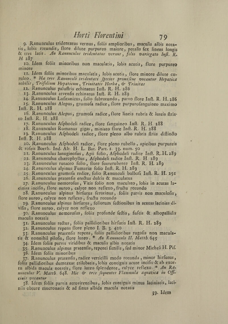 9. Ranunculus tridentatus vernus, foliis amplioribus, maculis albis nota¬ tis, lobis rotundis, flore dilute purpureo maiore, petalis fex lineas longis & tres latis . An Ranunculus tridentatus vernus, folio variegato In(i. R. H 287 10. Idem foliis minoribus non maculatis, lobis acutis, flore purpureo minore 11. Idem foliis minoribus maculatis, lobisacutis, flore minore dilute cae¬ ruleo. * Hce tres Ranunculi tridentati fpecies promi fcue vocantur Hepatica nobilis, Trifolium Hepaticum, Trinitatis Herba , & Trinitas 12. Ranunculus paluftris echinatus Inft:. R. H. 286 13. Ranunculus arvenfis echinatus Inft. R. H. 289 14. Ranunculus Lufitanicus, folio fubrotundo, parvo flore Inft. R. H.286 15. Ranunculus Alepus, grumofa radice, flore purpurofanguineo maximo Inft. R. H. 288 16. Ranunculus Alepus, grumofa radice, flore lineis rubris & luteis ftria* to Inft. R. H. 288 17. Ranunculus Afphodeli radice, flore fanguineo Inft. R. H. 288 18. Ranunculus Romanus gigas, miniato flore Inft. R. H. 288 19. Ranunculus Afphodeli radice, flore pleno albo rubris ftriis diftin&o Inft. R. H. 288 20. Ranunculus Afphodeli radice, flore pleno rubello, apicibus purpureis 6c rofeis Boerh. Ind. Alt. H. L. Bat. Part. 1. 33. num. 50 21. Ranunculus lanuginofus, Apii folio, Afphodeli radice Inft. R.H. 289 22. Ranunculus chaerophyllus, Afphodeli radice Inft. R. H 289 23. Ranunculus rutaceo folio, flore fuaverubente Inft. R. H. 289 24. Ranunculus alpinus Furnarias folio Inft. R. H. 289 25. Ranunculus grumofa radice, folio Ranunculi bulboft Inft. R. H. 291 26. Ranunculus pratenfis ere&us dulcis & maculatus 27. Ranunculus nemorofus, Vitis folio non maculato, lobis in acutas la¬ cinias incifis, flore aureo, calyce non reflexo, fru£hi rotundo 28. Ranunculus alpinus hirfutus ferotinus, foliis parvis non maculofis, flore aureo, calyce non reflexo, fruiftu rotundo 29. Ranunculus alpinus hirfutus, foliorum fe&ionibus in acutas lacinias di- vifis, flore aureo, calyce non reflexo 30. Ranunculus nemorofus, foliis profunde feftis, fufeis & albopallidis maculis notatis 31. Ranunculus re&us, foliis pallidioribus hirfutis Inft. R. H. 289 32. Ranunculus repens flore pleno I. B. 3. 420 33. Ranunculus pratenfts repens, foliis pallidioribus rugofis non macula¬ tis 6c nonnihil pilofis, flore luteo. * An Ranunculo II. Mattb.645 34. Idem foliis parvis viridibus & maculis albis notatis 35. Ranunculus alpinus pratenfis, repenti fimilis, fed minor Micheli H. Pif. 36. Idem foliis minoribus 37. Ranunculus pratenfis, radice verticilli modo rotunda , minor hirfutus, foliis pallidioribus dumtaxat trilobatis, lobis contiguis acute incifis & ab exor¬ tu albida macula notatis, flore luteo fplendenre, calyce reflexo. * An Ra¬ nunculus V. Mattb. 648. Hic & tres fequentes Flammula aquatica in Offi¬ cinis vocantur 38. Idem foliis parvis atrovirentibus, lobis contiguis minus Iaciniatis, laci¬ niis obture mucronatis 6c ad finus albida macula notatis 39. Idem