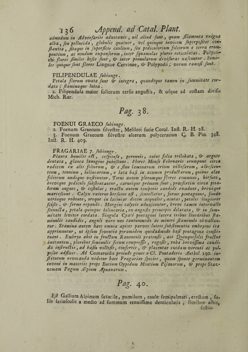 admodum in Adverfariis adnotavit, nil aliud funt, quam filamenta exigua alba , feu pellucida , globulis quatuor , vel quinque invicem fuperpofius con- flantia, fitaque in fuperficie caulium, feu pedicularium foliorum e terra erum¬ pentium, ac nondum expanforum, inter fquamulas plures reticulatas . Pclytri- chi flores fimiles hifle funt, & inter pinnularum divifuras nafluntur . Simia¬ les quoque funt flores Linguae Cervinae, & Polypodii; verum ramofi funt. FILIPENDULAE fubiunge.. Vetala florum ovata funt & integra, quandtique tamen in Jummitate cor¬ data ; flaminaque lutea. 2. Filipendula maior foliorum tarfis anguftis, & ufque ad coftam diviHs Mich. Rar. Pag. 38. FOENUI GRAECO fubiunge. 2. Foenum Graecum filveftre, Meliloti facie Corol. Inft. R. H. 28. 3. Foenum Graecum filveftre alterum polyceracion C. B. Pin. 348. Init. R. H. 409. FRAGARIAE 7. fubiunge . Planta humilis efl, ceppitofa , perennis t cuius folia trilobata , & argute dentata , glauca lanugine pubefeunt . Flores Menfe Februario erumpunt circa, radicem ex alis foliarum , & e finu laminarum trium vili ofarum , albe flen¬ tium , tenuium , bilineartuni, e lata bafl in acumen produd arum, quibus alat foliorum undique vefliuntur. Terni autem plerumque flores communi, hirfuto , brevique pediculo fubflentantur, carneique primum funt , praefertim circa peta¬ lorum ungues, & coflulas ; tradu autem temporis candidi evadunt, brevique marcefiunt . Calyx externe hirfutus efl , Jcutellatus , ferme pentagonus, fundo utrinque rubente, oreque in lacinias decem aequales , acutas , petalis longiores fciflo , & ferme repando . Margini calycis adnafeuntur, brevi tamen intervallo fliunda , petala quinque bilinearia , ex anguflo principio dilatata , & in fum- mitate leviter cordata. Singula Cyati pentagoni latera tribus linearibus fla- minulis candidis, anguli vero uno tantummodo ac minori flaminulo obvallan¬ tur . Stamina autem haec omnia apices parvos luteosfubflinentta embryoni ita apprimuntur , ut ipfum foventia pyramidem quodadmodo bafi pentagona confli- tuant. Embryo abit in frudum Ranunculi pratenfis , aut Quinquefolii frudus imitantem , pluribus (eminulis fetum compreffls , rugofis , tuba breviflima candi¬ da inflrudis, ad bafin villofis, confertis , & placentae cuidam virenti ac pul- pofae adfixis . Ad Comaroidis proinde genus a Cl. Pontaderio Antbol 290. /«- flitutum revocanda videtur haec Fragariae fpecies , quam fponte germinantem inveni in maceriis prope Futium Oppidum Montium PiJ'anorum , & prope Staz,- zemam Pagum Alpium Apuanarum . Pag. 40. Efl Gallium Alpinum faxatile, pumilum , caule femipafmari , eredum , fo- Iiis latiufculis a medio ad fummum tenuiflime denticulatis , floribus albis, fedio- <