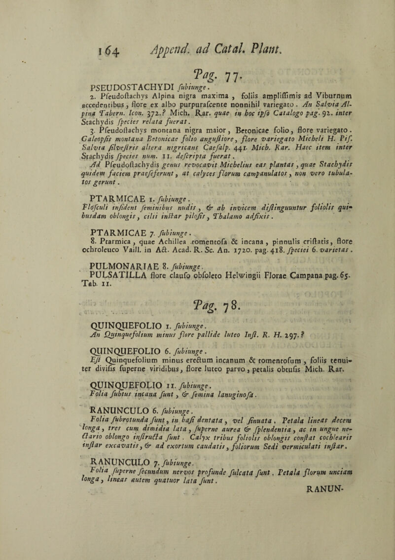 Pag. 77. PSEUDOSTACHYDI fubiunge. 2. Pfeudoftachys Alpina nigra maxima , foliis ampliflimis ad Viburnum accedentibus, flore ex albo purpurafcente nonnihil variegato. An Salvia Al¬ pina Tabem. Icon. 372.? Mich. Rar. quae in hoc ipfo Catalogo pag. 92. inter Stachydis fpecies relata fuerat. 3. Pfeudoftachys montana nigra maior, Betonicae folio, flore variegato. Galeopfis montana Betonicae folio angujliore, flore variegato Micbeli H. Vif Salvia filvejlris altera nigricans Caefalp. 441. Mich. Rar. Haec item inter Stachydis fpecies num. II. defcripta fuerat. Ad Pfeudoftachydis genus revocavit Mtchelius eas plantas , quae Stachydis quidem faciem praefeferunt, at calyces florum campanulatos , «0« vero tubula¬ tos gerunt. PTARMICAE 1. fubiunge. Flofculi tnfident feminibus nudis , & ab invicem difinguuntur foliolis qui» husdam oblongis, cilii inPlar pilojis , Thalamo adfixts. PTARMICAE 7. fubiunge. 8. Ptarmica , quae Achillea comentofa & incana, pinnulis criftatis, flore ochroleuco Vaill. in A&. Acad. R. Sc. An. 1720. pag. 418. fpeciei 6. varietas . PULMONARIAE 8. fubiunge. PULSATILLA flore claufo obfoleto Helwingii Florae Campana pag. 65. Tab. 11. Pag. 78. QUINQUEFOLIO I. fubiunge. An Quinquefolium minus flore pallide luteo Infl. R. H. 297. ? QUINQUEFOLIO 6. fubiunge. FJi Quinquefolium minus ereflum incanum & tomentofum , foliis tenuia ter divifis fuperne viridibus, flore luteo parvo, petalis obtufis Mich. Rar. QUINQUEFOLIO 11. fubiunge. Folia fubtus incana funt , & femina lanuginofa. RANUNCULO 6. fubiunge. Folia fubrotunda funt, in baji dentata, vel Jinuata . Vetala lineas decem longa y tres cum dimidia lata , fuperne aurea & fplendentia , ac in ungue ne- Clario oblongo inJlruCla funt. Calyx tribus foliolis oblongis conflat cochlearis inflar excavatis ad exortum caudatis, foliorum Sedi vermiculati tnflar. ranunculo 7. fubiunge. Folia fuperne fecundum nervos profunde fulcata funt. Vetala florum unciam longay lineas autem quatuor lata funt. RANUN-