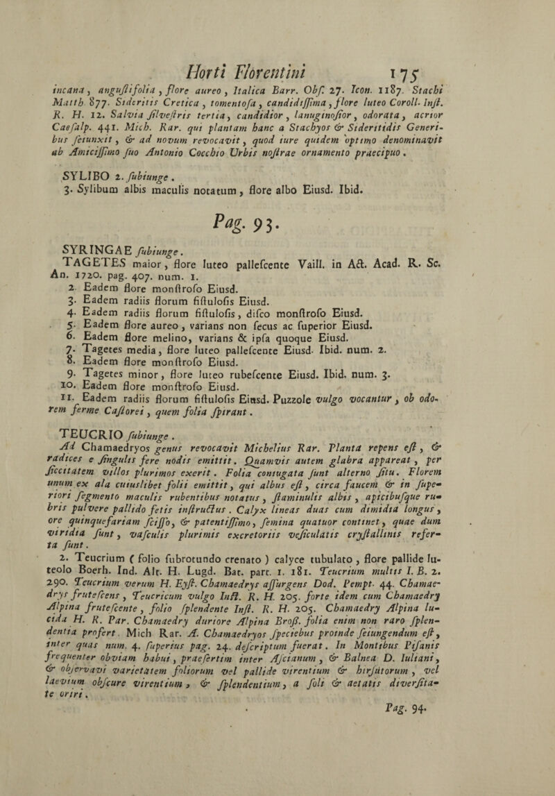 incana, anguflifolia , flore aureo , Italica Barr. Obf. 27. Icon. 1187. Stacbi Mattb 877. Sidentis Cretica , tomentofa , candidijfima, flore luteo CorolL Inji. R. H. 12. Salvia JHveJlris tertia, candidior , lanuginojior, odorata, acrior Caefalp. 441. Micb. Rar. qui plantam hanc a Stachyos & Sideritidis Generi¬ bus feiunxit, & ad novum revocavit, quod iure quidem 'optimo denominavit ab Amiciffimo fuo Antonio Coccbio Urbis nojtrae ornamento praecipuo. SYLIBO 2. fubiunge . 3. Sylibum albis maculis notatum, flore albo Eiusd. Ibid. Brfg. 9 3 • SYRINGAE fubtunge. TAGETES maior, flore luteo pallefcente Vaill. in A&. Acad. R. Sc. An. 1720. pag. 407. num. I. 2. Eadem flore monflrofo Eiusd. 3» Eadem radiis florum fiflulofis Eiusd. 4. Eadem radiis florum fiflulofis, difeo monflrofo Eiusd. 5. Eadem flore aureo, varians non fecus ac fuperior Eiusd. 6. Eadem flore melino, varians & ipfa quoque Eiusd. 7. Tagetes media, flore luteo pallefcente Eiusd- Ibid. num. 2. 8. Eadem flore monflrofo Eiusd. 9- Tagetes minor, flore luteo rubefeente Eiusd. Ibid. num. 3. 10. Eadem flore monflrofo Eiusd. 11. Eadem radiis florum fiflulofis Eiasd. Puzzole vulgo vocantur , ob odo¬ rem ferme Cajiorei , quem folia fptrant. TEUCRIO fubtunge. Ad Chamaedryos genus revocavit Michelius Rar. Planta repens efl , & radices e Jingults fere nodis emittit. Quamvis autem glabra appareat , per Jiccitatem villos plurimos exerit. Folia comugata Junt alterno Jitu. Florem tinum ex ala cuiuslibet folii emittit, qui albus efl, circa faucem & in fupe- rtori fegmento maculis rubentibus notatus , flaminulis albis , apicibufque ru¬ bris pulvere pallido fetis inflruttus . Calyx lineas duas cum dimidia longus , ore quinquefariam fciffo, 6* patentifflmo, femina quatuor continet, viridia funt, vafculis plurimis excretoriis vejiculatts cryfl allinis refer¬ ta funt. 2. Teucrium ( folio fubrotundo crenato ) calyce tubulato , flore pallide lu¬ teolo Boerh. Ind. Alt. H. Lugd. Bat. part. 1. 181. Teucrium multis I. B. 2. 290. Teucrium verum H. Eyfi. Cbamaedrys affurgens Dod. Pempt■ 44. Chamae- drys frutefeens , Teucricum vulgo In fi. R. H. 205. /orte /Wew Cbamaedry Alpina frutefeente, fplendente Infi. R. H. 205. Cbamaedry Alpina lu¬ cida H. R. Par. Cbamaedry duriore Alpina Brofl. folia enim non raro fplen- dentia profert Mich Rar. A. Cbamaedryos Jpeciebus proinde feiungendum eft, inter quas num. 4. fuperius pag. 24. dtfcriptum fuerat. In Montibus Pifanis frequenter obviam habui, praefertim inter Afcianum , & Balnea D. Iultani, 6* objervavi varietatem foliorum vel pallide virentium & htrjiitorum , w/ laevium obfcure virentium > & fplendentium, 0 foli & aetatis diverfita- /e oriri. Pag. 94.