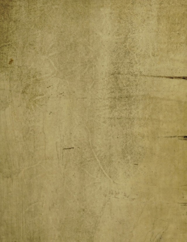 digitised image 1