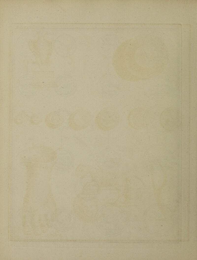 ' '