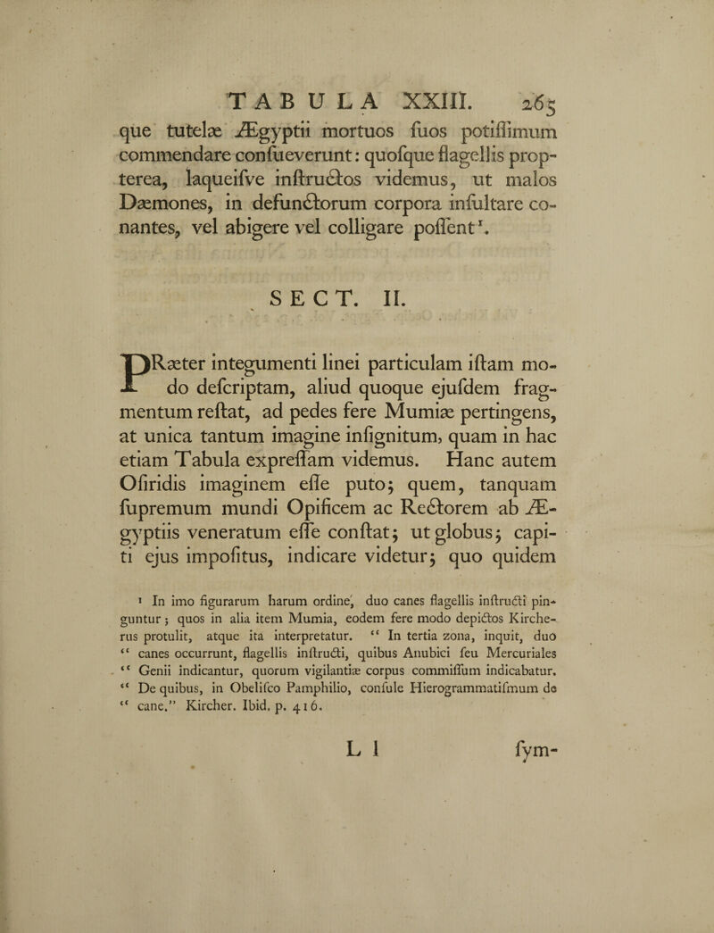 que tutelae AEgyptii mortuos fuos potiffimum commendare confueverunt: quofque flagellis prop- terea, laqueifve inftructos videmus, ut malos Dasmones, in defunctorum corpora inliiltare co- nantes, vel abigere vel colligare pollent1. S E C T. II. % PRseter integumenti linei particulam iftam mo¬ do defcriptam, aliud quoque ejufdem frag¬ mentum reflat, ad pedes fere Mundae pertingens, at unica tantum imagine infignitum, quam in hac etiam Tabula expreffam videmus. Hanc autem Oliridis imaginem elle puto; quem, tanquam fupremum mundi Opificem ac ReCtorem ab JE- gyptiis veneratum efle conflat; ut globus; capi¬ ti ejus impolitus, indicare videtur; quo quidem 1 In imo figurarum harum ordine, duo canes flagellis inftru&i pin¬ guntur ; quos in alia item Mumia, eodem fere modo depi&os Kirche- rus protulit, atque ita interpretatur. “ In tertia zona, inquit, duo “ canes occurrunt, flagellis inftru&i, quibus Anubici feu Mercuriales tC Genii indicantur, quorum vigilanti® corpus commiflum indicabatur. “ De quibus, in Obelifco Pamphilio, confule Hierogrammatifmum de tC cane.” Kircher. Ibid. p. 416. L l fvm- i!