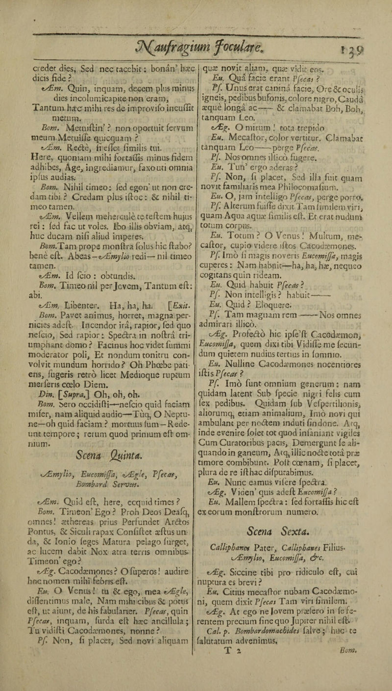 creder dies, Sed nec taccbit; bonan’ h^c dicis fide ? QuiOj inquanij deccm plus minus dies incolumicapite non eram, Tantuni hate mihi res de improvil’o incuflit nietum. Bom. Metuiflin’ ? non oportuit fervum meiim MetuifTe quicquani ? <iy£Tn. Redle, li eflec fimilis tui. Here, quoniam mihi fortaSis minus fidem adhibes, Age, ingrediamur, faxouti omnia ipfus audias; Born. Nihil cimeo: fed egon’ lit non cre- dam tibi ? Credam plus iftoc: & nihil ti- meo tamen. Vellein mehercule te teftem hujus rei; fed fac ut voles, ibo illis obviam, atq^ hue ducam nifi aliud imperes. Bom.Tgim props monftra fblus hie ftabo? bene eft. Abeas-t/£»2j/io redi—nil timeo tamen. Id fcio ; obtundis. Bom. Timeo nil perjevem, Tantum eft: abi. zAim. Libenter. Ha, ha, ha. \_Exit. Bom. Pavec animus, horret, magna per- nieies adeft. Incendor ira, rapior, fed quo nefeio, Sed rapior i Spedtra in noftra tri¬ umphant domo ^ Faeinus hoe videt fummi moderator poli, Et nondum tonitru eon- voivic mundum horrido ? Oh Phoebe pati- ens, fugeris retro lieec Medioque rupeum niei fens coelo Diem. Din. [JSupra^ Oh, oh, oh. Bom. bero oeeidifti—nefeio quid faciam mifer, nam aliquid audio—Tuq^ O Neptu¬ ne—oh quid faciam ^ mortuus (um—Rede- unt tempore; rcrum quod primum eft om¬ nium. Seem Quinta. >u/£mj/lio, Eucomijfa, zAgle^ Pfecaf, Bombard. Servers. (Am. Quid eft, here, ccqnid times ? Bom. Timeon’ Ego ? Proh Deos Deafc^ omnesl rethereas prius Perfundec Ardlos PontLis, & Siculi rapax Confiftet aeftus un- da, & lonio feges Matura pelago fiirget, ac lucem dabic Nox atra terns omnibus. Timeon’ ego? ^g. Cacodaempnes ? O fuperos! audire hoc nomen mihi febnseft. Ku. O Venus! tu & ego, mea i/Egle.^ diftentimus male, Nam mihi cibus & potiis eft, ut aiunr, de his fabiilaner. Pfecas, quin Pfcciit, inquam, furda eft hxc ancillula; l uvidifti Cacoda’mones, nonne? P/! Non, fi placer, Sed novi aliquam qua: novit aliam, qua: vidic cos. Eu. Qua facie eranr Ffocas ? Pf. Unus erat canina facie, Ore oculis igneis, pedibus bufonis, colore mgro, Cauda acque longa ac-— & clamabat Bob, Boh, tanquam Leo. <tAg. O minim I tota trepido Eu. Mecaftor, color vertitur, Clamabat tanquam Leo-psrge Ffccas. Pf. Nosomnes illicb fugere. Eu. Tim’ ergo aderas ? Pf. Non, ft placer, Sed ilia fuic quam novit famiharismea Phiiocomafium. Eu. O, jam intelligo Pfeens, perge porro. Pf. AIteruni fuifTe dixit Tam fimileni viri, quam Aqua aqua: fimilis eft. Et erat nudum totum corpus. Eu. Totum? O Venus! Multum, me¬ caftor, cupio videre iftos Caeddarmones. Pf. Imb fi magis noveris Eucemtjfa^ magis cuperes: Nam habiiit—ha, ha, has, nequeo cogitans quin rideam. Eu. Quid habuit Pfecas^ pf Non intelligis ? habuit- Eu, Quid ? Eloquere. Pf. Tammagnamrcm——Nosomnes admirari illicb. (Ag. Profebtb hie ipfe’ft Cacoda:mon, ; EucomtJ/aj quern dixi tibi Vidifie me fecun- dum quietem nudinstertms in fomnio. Eu. Nulline Cacodasmones nocentiores iftis Pfecas ? Pf. Imb funt omnium generum; nam qiiidam latent Sub fpecie nigri felis cum lex pedibus. Quidam fub Vefpertilionis, aliorumq, etiam animalium, Imb novi qui ambulant per nobtem induti findone. Arq, inde evenire foiet tot quod infaniant vigiies i Cum Curatoribus pacis, Demergunt fe ali- quandoin ganeum, Atq,iliic node tota pras timore combibunc. Poft ccenam, fi placet, plura de re ifthac difpurabimiis. Eu. Nunc eamus vil'erc fpedra. A,g. Viden’qiiis adeft ' Eu. Mallem fpedra: fed foitaftis hie eft exeorum monftrorum numero. Scena Sexta. Calliphanes Pater, Calliphaves Filius. (Atnpito^ Eucomifd, d^c. Ag, Siccine tibi pro ridiculo eft, ciii nuptura es brevi ? Eu, Citius mecaftor nubam Cacodaemo- ■ ni, quern dixit Pfecas Tam viri fimilem. Ag. At ego nelovem p!a:fero in fefe- rentem precium fine quo Jupiter nihil eft. Calp. Bomhardomachides huc te falutarum advenimus, T a Bom,