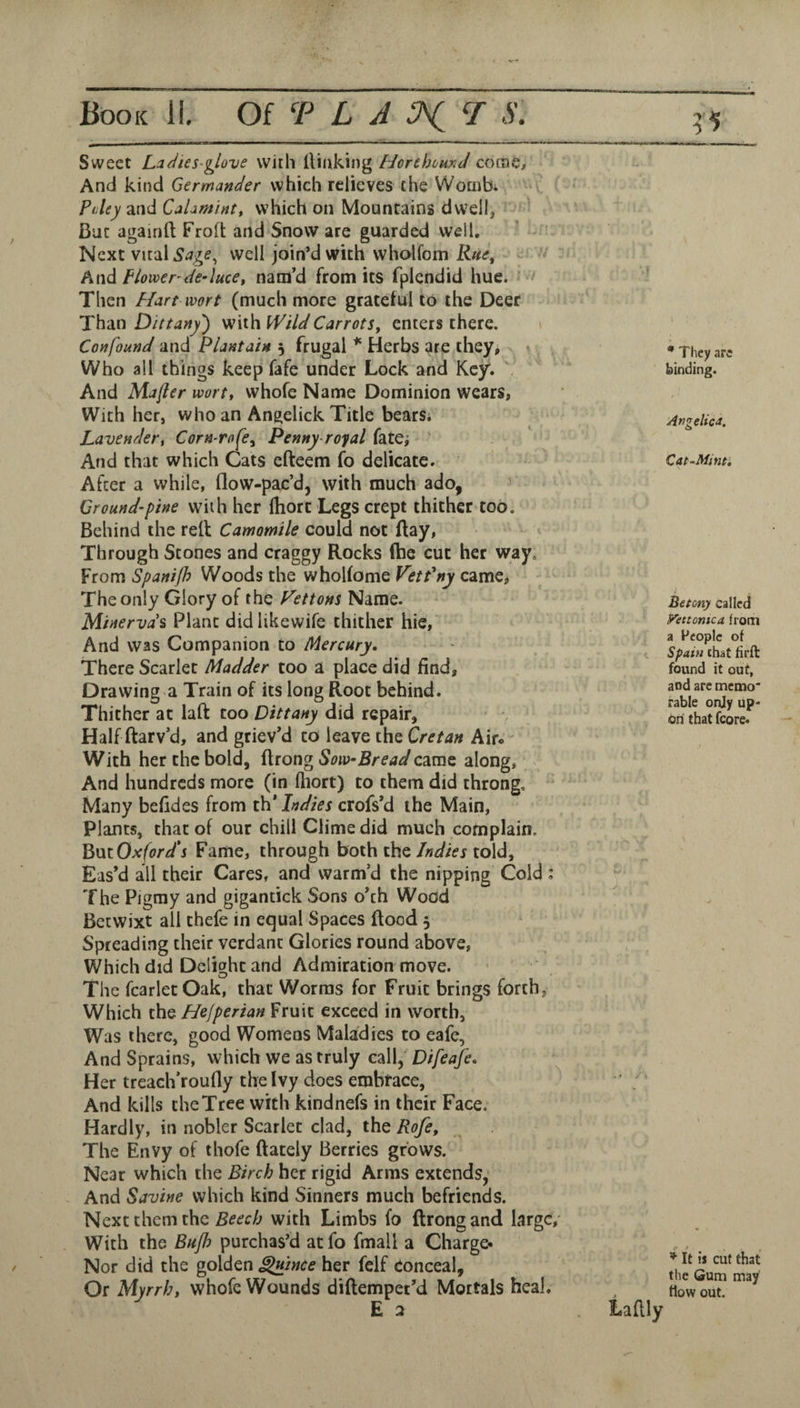 Sweet La^ites-glove with (linking Hcrchvmd corae. And kind Germander which relieves the Wombi Pdey and CaUm'int, which on Mountains dwell, But againft Froft and Snow are guarded well. Next vital well join’d with whalfom R«e, hndi Flower'deducet nam’d from its fplendid hue. Then F/art wort (much more grateful to the Deer Than Dittany') with f'VildCarrots, enters there. Confound and Plantain , frugal * Herbs are they. Who all things keep fafe under Lock and Key. And Majier wortf whofe Name Dominion wears, With her, who an Angelick Title bearSi Lavender, Corn-rofe^ Penny royal fatCi ' And that which Cats efteem fo delicate. After a while, flow-pac’d, with much ado, ^ Ground-pine with her Ihort Legs crept thither too. Behind the relt Camomile could not flay, Through Stones and craggy Rocks (he cut her way. From Spanifh Woods the whoKome VetPny camCj The only Glory of the P'ettons Name. Minerva^ Plant didlikewife thither hie, And was Companion to Mercury. There Scarlet Madder too a place did find, Drawing a Train of its long Root behind. Thither at laft coo Dittany did repair, Halfftarv’d, and griev’d to leave the Cr^/4/r Air*- With her the bold, ftrong Sow Bread came along. And hundreds more (in fliort) to them did throng. Many befides from th’ Indies crofs’d the Main, Plants, chat of our chili Clime did much complain. BucOxfor/j Fame, through both the Indies told. Eas’d all their Cares, and warm’d the nipping Cold : The Pigmy and gigantick Sons o’ch Wood Betwixt all thefe in equal Spaces Rood 5 Spreading their verdant Glories round above, Which did Delight and Admiration move. The fcarletOak, that Worms for Fruit brings forth. Which the Hefperian Fruit exceed in worth, Was there, good Womens Maladies to eafe, And Sprains, which we as truly call, Difeafe. Her treach’roufly the Ivy does embrace, And kills cheTree with kindnefs in their Face. Hardly, in nobler Scarlet clad, the Rofe, The Envy of thofe ftateiy Berries grows. Near which the Birch her rigid Arms extends, And Savine which kind Sinners much befriends. them the Beech with Limbs fo (Irongand large/ With the Bujh purchas’d atfo fmall a Charge* Nor did the golden ^ince her felf Conceal, Or Myrrh, whofe Wounds diftempet’d Mortals heal. E 2 * They arc binding. Angelica. Cat-Mint. Betony called Genome a. from a Hcoplc of Sfain that firft found it out, and are memo' rable onJy up* on that fcore. Laflly ^ It is cut that the Gum may' flow out.