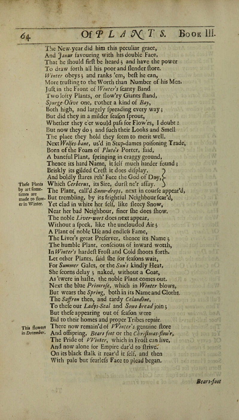 OiT L J S. Book 111* The New-year did him this peculiar grace. And Jaffus favouring with his double Face, That he ihould firft be heard 5 and have the power To draw forth all his poor and (lender (lore. Winter obeys 5 and ranks ’em, beft he can, More trufting to the Worth than Number of his Mem Juff in the Front of Winter s fcanty Band Two lofty Plants, or flow’ry Giants (land, Spurge-Olive one, t’other a kind of Bay^ Both high, and largely fpreading every way; But did they in a milder fealpn fprout, Whether they e’er would pafs for Flow’rs, I doubt: But now they do 5 and fuch their Looks and Smell The place they hold they feem to merit well. ^tydWolfes'hane, us’d in Step-dames poifoning Trade, Born of the Foam of Pluto s Porter, laid, A baneful Plant, fpringing in craggy ground, Thence its hard Name, itlelf much harder found; Briskly its gilded Creft it does difplay, ^ And boldly flares i*th* Face the God of Day,^ Thcfe Planti Which Cerherus^ its Sire, durftne’r aflay. j by art fome- plant, call’d Snowdrops, next in courfe appear’d, made to flow- But trembling, by its frightful Neighbour fear’d, cr in Winter. Yet clad in whitc her felf, like fleecy Snow, Near her bad Neighbour, finer fhe docs Ihow. The noble Liver-wort does next appear. Without a fpcck, like the unclouded Air 5 A Plant of noble Ufe and endlefs Fame, The Liver’s great Preferver, thence its Name 5 The humble Plant, confeious of inward worth. In Winter's hardefl Froft and Cold flioots forth. Let other Plants, faid fhe for feafons wait. For Summer Gales, or the Suns kindly Heat, She fcorns delay 5 naked, without a Coat, As ’twere in hafle, the noble Plant comes out. Next the bluewhich in Winter But wears the Springy both in its Name and Cloths. The Saffron then, and tardy CelandinCy To thefe our Ladys^Seal and Sows bread pm j But thefe appearing out of feafon were Bid to their homes and proper Tribes repair, Thii flowers There now remain’d of FVinter s genuine (lore in December. And offspring, Bears foot or the Chrifimasffoivr, The Pride of P^Finter, which in Froft can live, And now alone for Empire dat’d to ftrivel' On its black ftalk it rear’d it felf, and then With pale but fearlefs Face to plead began. BearS'foot t
