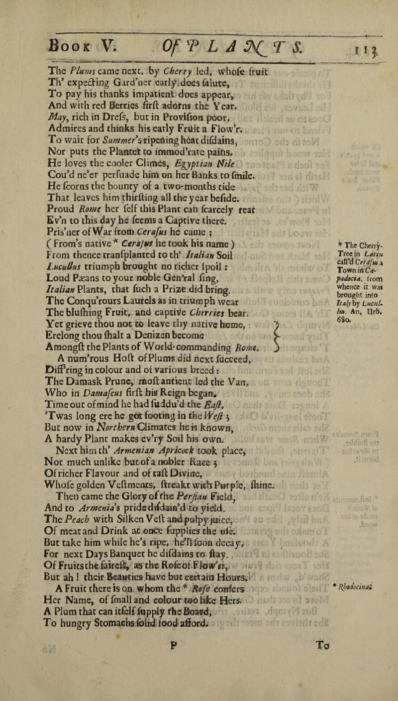 The Plums came nexc, by Cherry led, whofe fruit Th* expeding Gard’ner earlyidoes faluce, To pay his thanks impatient does appear. And with red Berries firfl: adorns the Year* May^ rich in Drefs, but in Provlfion poor, Admires and thinks his early Fruit a FlovvV. To wait for ripening heat difdains, Nor puts the Planter to immoderate pains. He loves the cooler Climes, Egyptian t^ile Cou*d ne’er perfuade him on her Banks to fmile. He (corns the bounty of a two-months tide That leaves him thirfting all the year bcfide. Proud Rome her felf this Plant can fcarcely rear Ev’n to this day he fccms a Captive there. Pris’ner of War from Cerafus he came ; ( From’s native ^ Cerajufs he took his name) From thence tranfplantcd to tlV Italian Soil LucuUus triumph brought no richer (poll: Loud P^ans to your noble QenYal fing, Italian Plants, that fuch a Prize did bring. The Conqu’rours Laurels as in triumph wear Theblulhing Fruit, and captive Cherries bear. Yet grieve thou not to leave thy native home, Erelong thou (halt a Denizen become Amongft the Plants of World-commanding Hem, A numerous Ho(t of Plums did next fucceed, DifFring in colour and of various breed: The Damask Prune, mofl ancient led the Van, Who in Damafeus (irfl bis Reign began. Timeout ofmind he had(uddu’d the Bajl^ ’Twas long ere he got footing in the Wejl $ But now in NorthernCkimztQS he is known, A hardy Plant makes ev’ry Soil his own. Next him th’ Armenian Aprkack took place^ Not much unlike but ofa nobler Race j Of richer Flavour and of tail Divine, Whofc golden Veftmencs, (treakt wkh Purple, (liine.- Then came the Glory of the Perfian Field, And to Armenia’s pride drfdain’d toyidd. The Peach with Silken Veft and pulpy jctice, Of meat and Drink at once flrpplies the wie. But take him while he’s ripe, hdflfoon decay. For next Days Banquet he diCdains to ftay. Of Fruits the fairefi), as the Role oh Flo w’rs, ^ But ah 1 their Beauttesf have but certain Hours.^ A Fruit there is on whom the * Rofe confers Her Name, of fmall and colour too like HerS.' A Plum that can itfcif fupply the Boadrd, To hungry Stomachs (olid food afford; P fa I i I * The Cherry- Tree in Latin Call'd Cetafui a Town inC4- fadocia, from whence it wai brought into Italy by LuciiU Im. An. Urb, * Rhodocinai