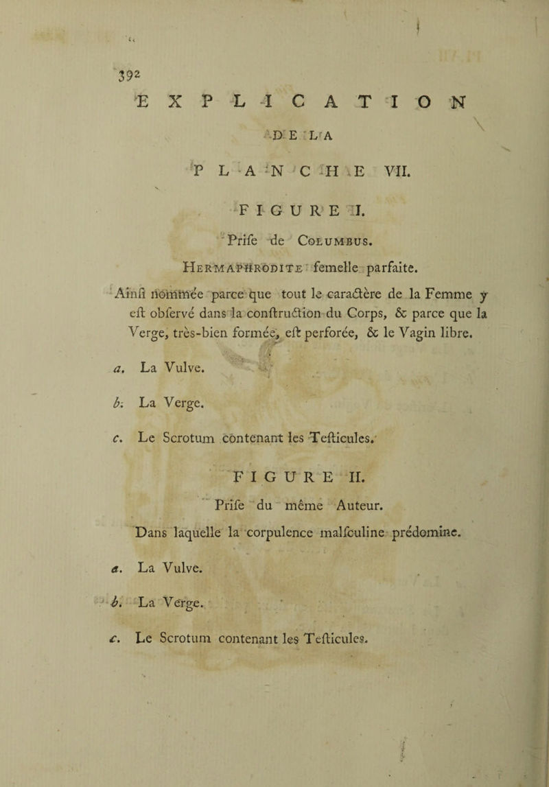 c< 392 EXPLICATION D E LA P L *N C H xE VIL FIGURE II. Prife de Columbus. Hermaphrodite femelle parfaite. Ainfi nommée parce que tout le cara&ère de la Femme y ed obfervé dans la condrultion du Corps, & parce que la Verge, très-bien formée, ed perforée, & le Vagin libre. a. La Vulve. 1 • b-, La Verge. c. Le Scrotum contenant les Tedicules. FIGURE IL Prife du même Auteur. Dans laquelle la corpulence malfculine prédomine. a. La Vulve. b. La Verge. «. ; £. Le Scrotum contenant les Tedicules.