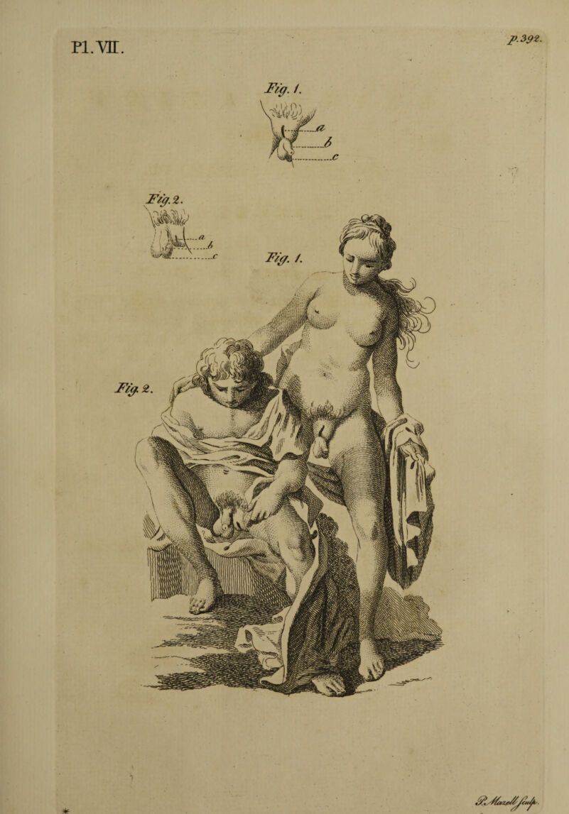 2>. 392 Fïg. /. *