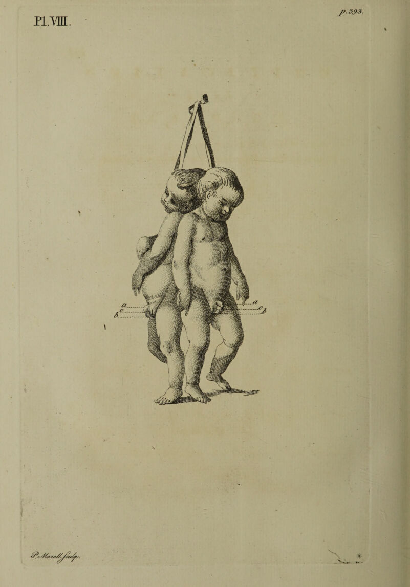 pi/vm j?. 393. \ * è/?i .