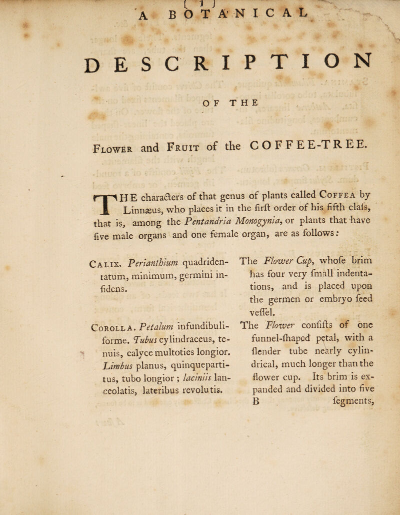 DESCRIPTION ' . % . r v- v  ^' • ■ O F T H E JQMk ^ Flower and Fruit of the COFFEE-TREE. THE characters of that genus of plants called Coffea by Linnaeus, who places it in the firft order of his fifth clafs, that is, among the Pentandria Monogynia, or plants that have five male organs and one female organ, are as follows : Calix. Perianthium quadriden- tatum, minimum? germini in- iidens. Corolla. Petalum infundibuli- forme. Tubus cylindraceus, te¬ nuis, calyce multoties longior. Limbus planus, quinqueparti- tus, tubo longior ; lacinhs lan- ceolatis, lateribus revolutis. The Flower Cup, whofe brim has four very fmall indenta¬ tions, and is placed upon the germen or embryo feed veflTel. The Flower confifts of one funnel-fhapefl p^tal, with a {lender tube nearly cylin¬ drical, much longer than the flower cup. Its brim is ex¬ panded and divided into five B fegments,