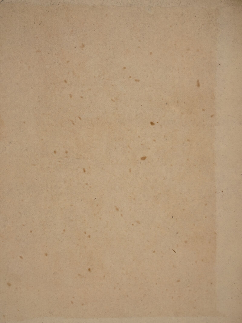 1 I t I * • 1 » \ / % \ \ *.