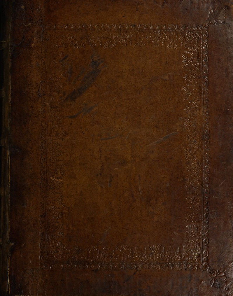 No text description is available for this image