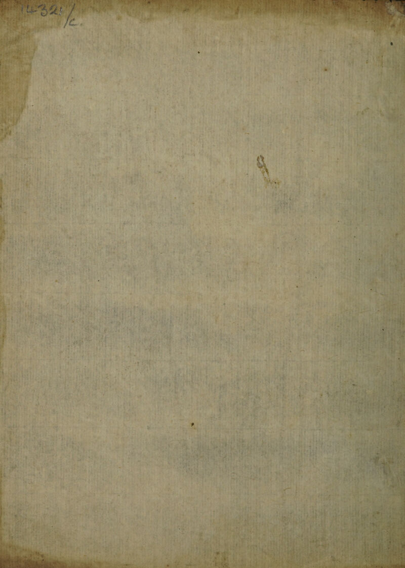 . . . ► :» • . I V- , ( , . . ./ : ^ - i ■ - » W A • \ 4: • V V •* . . i ' % * ' w ■r : - Tv'- • • >' • ■ l - . .. •' • - ' ; $ ■■■ » - . . ■' • ; • •. ' . •* ; :T * ii- ;; - t . . - • ■ <' V ■t * > 1 ■ •• V