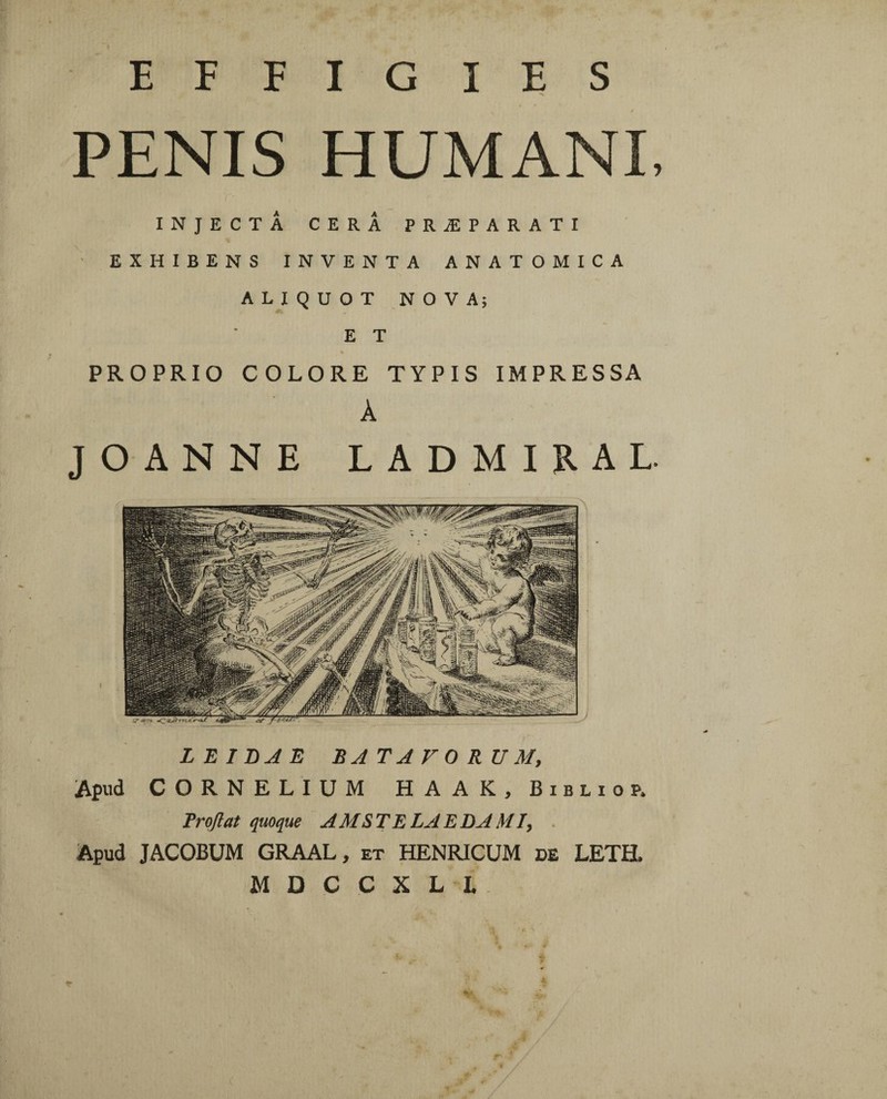 EFFIGIES ■** PENIS HUMANI, INJECTA CERÂ PRÆPARATI EXHIBENS INVENTA ANATOMICA ALIQUOT NOVA; E T % PROPRIO COLORE TYPIS IMPRESSA À JOANNE LADMIRAL. LE IDAE BATAVORUM, Apud CORNELIUM HAAK, Bibliop. Froflat quoque AMSTELAE DA MI, ■ Apud JACOBUM GRAAL, et HENRICUM de LETH.