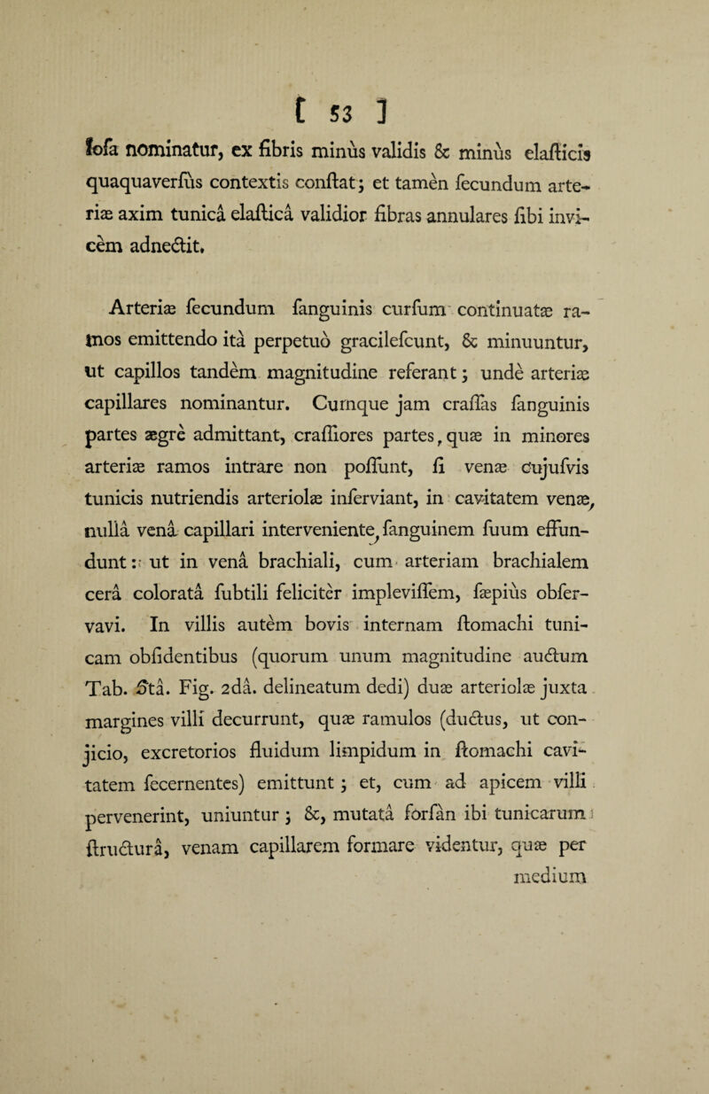 fofa nominatur, ex fibris miniis validis & minus elafticis quaquaverlus contextis conflat; et tamen fecundum arte¬ rias axim tunica elaftica validior fibras annulares fibi invi¬ cem adne&it* Arterias fecundum fanguinis curfum continuatae ra¬ mos emittendo ita perpetuo gracilefcunt, & minuuntur, ut capillos tandem magnitudine referant; unde arterias capillares nominantur. Cumque jam craffas fanguinis partes aegre admittant, crafliores partes f quas in minores arterias ramos intrare non poflunt, fi venas dujufvis tunicis nutriendis arteriolas inferviant, in cavitatem venas/ nulla vena capillari interveniente^ fanguinem fuum effun¬ dunt:’ut in vena brachiali, cum arteriam brachialem cera colorata fubtili feliciter impleviffem, faepius obfer- vavi. In villis autem bovis internam ftomachi tuni¬ cam oblidentibus (quorum unum magnitudine audum Tab. 5ta. Fig. 2da. delineatum dedi) duae arteriolas juxta margines villi decurrunt, quae ramulos (dudus, ut con¬ jicio, excretorios fluidum limpidum in ftomachi cavi¬ tatem fecernentes) emittunt; et, cum ad apicem villi pervenerint, uniuntur ; &, mutata forfan ibi tunicarum: ftru&ura, venam capillarem formare videntur, quae per medium