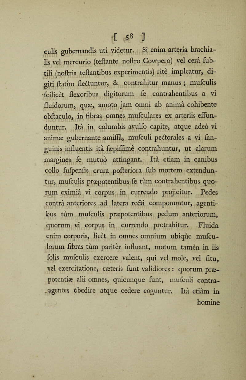 -[ 5* ] culis gubernandis uti videtur. Si enim arteria brachia¬ lis vel mercurio (teftante noftro Cowpero) vel cera fub- tili (noftris teftantibus experimentis) rite impleatur, di¬ giti ftatim fle&untur, & contrahitur manus; mufculis 'fcilicet flexoribus digitorum fe contrahentibus a vi fluidorum, quae, amoto jam omni ab anima cohibente obftaculo, in fibras omnes mufculares ex arteriis effun¬ duntur. Ita in columbis avulfo capite, atque adeo vi animae gubernante amifla, mufculi pe&orales a vi fan- guinis influentis ita fiepiflime contrahuntur, ut alarum margines fe mutuo attingant. Ita etiam in canibus collo fufpenfis crura pofteriora fub mortem extendun¬ tur, mufculis praepotentibus fe tum contrahentibus quo¬ rum eximia vi corpus in currendo projicitur. Pedes contra anteriores ad latera re&i componuntur, agenti¬ bus tum mufculis praepotentibus pedum anteriorum, quorum vi corpus in currendo protrahitur. Fluida enim corporis, licet in omnes omnium ubique mufcu- lorum fibras tum pariter influant, motum tamen in iis folis mufculis exercere valent, qui vel mole, vel fituy vel exercitatione, caeteris funt validiores: quorum prae¬ potentiae alii omnes, quicunque funt, mufculi contra- - agentes cbedire atque cedere coguntur. Ita etiam in homine