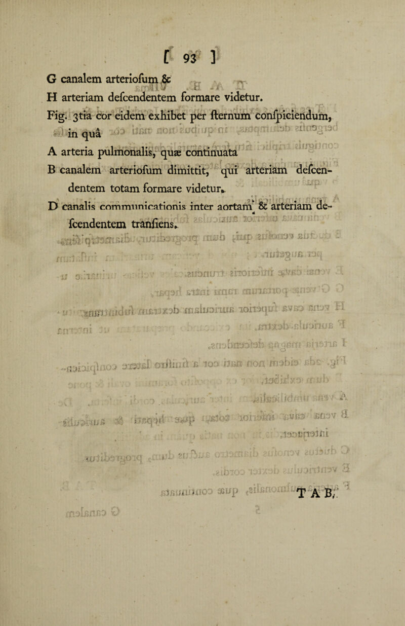 £ 93 3 G canalem arteriofum & ^ H arteriam defcendentem formare videtur. r ' H f ‘ * *  r ■ * • Fig. 3tia cor eidem exhibet per ftermun confpiciendum, in<|u4 hat non imm/pini «ajdqnliilob sdnagiad A arteria pulmonalis, quse continuata B canalem arteriofum dimittit, qui arteriam defcen¬ dentem totam formare videtur* D canalis communicationis inter aortam & arteriam de¬ fcendentem tranliens* sluoiw* mssb pup.mkxvj'* .n,/- - ..-? i‘.k, iit', i . • • - o n.v>n , ■ , .■ UaramiTt. ihomtnt :sc . v,* ■ - A -Ct£cprf mini iram minmioq O * uh •taiftU*9b-:«tsluon«8 iohotpd *vk> enav H .xnJxob eli/ohu E .3rrobns6teb gerri t -ewoiqhto-» ace*#® oiihiid na noa mabi? ' > •; ■ wsjb i 1 i ‘ ' - * ‘ * 4 - ;■ #nfc:>did‘^u *•**-* -*• ■ ^ * ' * , ■ :rw -j;vg3'jmov E • I . \C ^ 9v^ c-i^ra^ib io/m aotetfb D- , * ogibioo loizvh zuluoipnsv 3 TABf F r (* V . T* 3). JS/T B .>