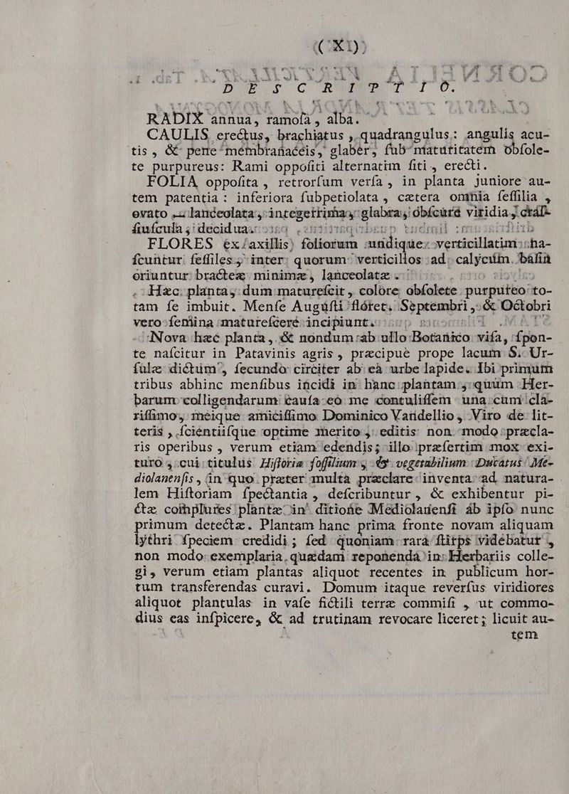 (CX) M ui » uw oar eT vy. we t £9.43 b cr ^ro RADIX annua, PRA m ^ CAULIS. erectus, brachiatus ,. E uh, angulis acu- tis, &amp; pene^metbranaéeis, glaber, fub-ntatutitatem obfole- te purpureus: Rami oppofiti alternatim fiti, erecti. FOLIA oppofita , retrorfum verfa, in planta juniore au- tem patentia : inferiora fubpetiolata , cetera oninia feffilia , evato lanceolata ;: incar M bini óbícurd viridia; » crar fiufcula ;: deciduas 55 dmil :n hrüub FLORES éx/axillis) pres decies cof entehy urn ;ha- ícuntur: feffiles. inter: quorum: verticillos : ad: calesHa, ^élin oriuntur bractez: minimz, lanceolatz .-^ : Hzc. planta: dum maturefcit ,. colore obíolete purputeo: to- tam fe imbuit. Menfe Augiüfti: flótet.. Sp peeanhrt ,- &amp; Dólebri vero-feniina -maturefceré incipiunt. 50 Nova hzc planta, &amp; nondum:ab ullo Botanico Vilis fibn- te naícitur in Patavinis agris , precipue prope lacum S; Ur- fula dictum, fecundo: circiter ab; cà urbe lapide. Ibi primum tribus abhinc menfibus iücidi in^ hanc plantam ,:quüm -Her- barum: colligendarum &amp;aufa-eoó. me contuliffem una.cum cla- riffimo, meique amiciffimo Dominico Vatidellio , Viro de lit- teris , fcientiifque optime ierito , editis non. modo przcla- ris operibus , verum etiam edendis; illo |przfertim mox exi- turo 4' cui: titulus Hiffoórim foffüium y ds vegerabilium. | Dutatus /Me- diolanen[is , àn'quo. practer multa przclare: inventa; ad natura- lem Hiftoriam fpectantia . , defcribuntur , &amp; exhibentur pi- &amp;tz conplures plantz' in^ ditione .Medioladenfi áb ipfo nunc primum detectz. Plantam hanc prima fronte novam aliquam lythri fpeciem credidi; fed quoniam rara ftitps videbatur , non modo: exemplaria, quadam reponenda in: Herbariis colle- gi, verum etiam plantas aliquot recentes im publicum hor- tum transferendas curavi. Domum itaque reverfus viridiores aliquot plantulas in vafe fictili terrz commifi , ut commo- gius cas infpicere, 3 ad trutinam revocare liceret; licuit au- tem