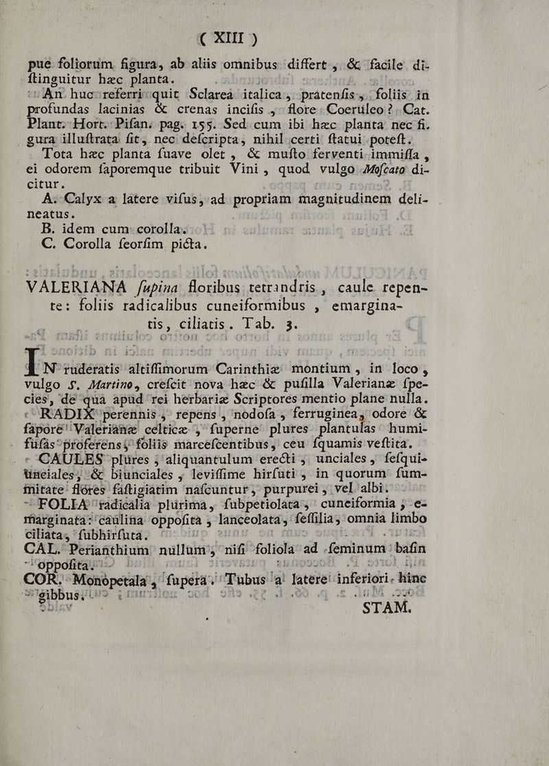 pue. foliorum figura, ab aliis omnibus. differt ,. &amp;&amp; facile. di- -flinguitur hec planta. | dul : B. sn! ^U An. huc: referri: quit Sclarea. italica 4. pratenfis y. foliis. in profundas lacinias &amp; crenas incifis ^ flore « Coertileo ? .. Cat. Plant. Hort. Pifan. pag. 155. Sed cum ibi hzc planta. nec fi. gura. illuftrata fit. nec defcripta, nihil certi ftatui poteft. Tota hac planta fuave olet ,, &amp; mufto ferventi. immiffa , ei odorem faporemque tribuit Vini, quod vulgo JMefcato di- citur. | A. Calyx a latere vifus, ad propriam magnitudinem deli- neatus. | B. idem cum: corolla. C. Corolla feorfim picta. VALERIANA f upina floribus: tetrandris , caule repen- te: foliis radicalibus cuneiformibus , emargina- , tis, ciliatis. Tab. s. | Iw ruderatis altiffinorum Carinthie montium , in loco, vulgo .,. Martize, crefcit nova hzc &amp; pufilla Valerianze fpe- cies, de qua apud rei herbariz Scriptores mentio plane nulla. : RADIX perennis ,' repens , nodofa ; ferruginea, odore &amp; fapore'Valeriane celtice , fuperne plures plantulas. humi- . fufas'proferensj foliis marcefcentibus, ceu fquamis veftita. . * CAULES plüres ; aliquantulum erecti ; unciales, fefqui- üneiales, &amp; biunciales , leviffime hirfuti , in quorum fum- initate-flóres faftigiatim nafcuntur, purpurei, vel albi. - FOLIA fadicália plürima , fubpetiolata , cunciformia ; .e- marginata: caulina oppofità ; lanceolata, feffilia, omnia limbo ciliata, fubhirfuta. Ip eum | | ICM SCYEIE CAL. Perianthium nullum , nifi foliola ad .feminum : bafin oppofita. - ' fui vRirg eufosg08 i oiwl Din COR. Monopetala , fupera.. Tubus a: latere! inferiori. hinc Bbiv | ^—. STAM.