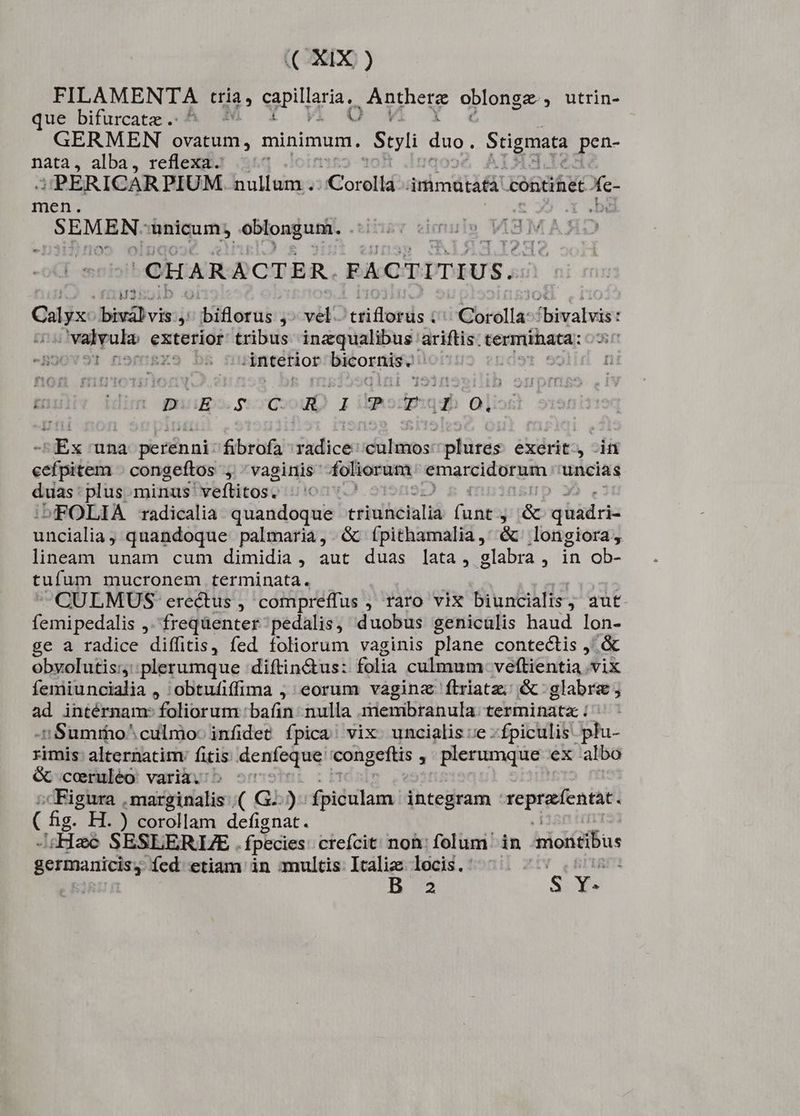 FILAMENTA (ria, CMS ert euge oblonga; utrin- que bifurcatze .. ^ GERMEN ovatum, minimum. Syli duo. Stigmata ds nata, alba, reflexa. S PÉRICARPIUM. nullum. ;Corella améti&amp; contihet djs men. peu Ibiriquins oblongum. . Husv vimuule | AS et CHARACTER. FACTITIUS. (135 Calyx biefbvin ditlorni ,- vel. mower Corolla^ 'bivalvis: wir gos dida exterior tribus inaqualibus ariftis: terminata: X -B9OWS'T nofrga 'íntetior bicornis - | mul Mim puis. CoD pRodhqb OL -Ex una perénni: fibrofa isidice dalaxos: plures exerit. it cefpitem - congeftos y vaginis foliorum emarcidorum uncias duas plus minus veflitos, «o^ FOLIA radicalia. quandoque 'ttiuBetaltá fant. y &amp; ghàdris uücialiag quandoque palmaria,.&amp; (ípithamalia,' &amp; longiora, lineam unam cum dimidia, aut duas lata, glabra , in ob- tufum mucronem terminata. CULMUÜUS: erectus, compreffus , raro vix biuncialis, aut. femipedalis ,.freqüenter/ pedalis, duobus genicalis haud lon- ge a radice diffitis, fed foliorum vaginis plane contectis , &amp; obvolutis:,::plerumque diftin&amp;tus: folia culmum: veftientia .vix feniiuncialia , obtuíiffima ; eorum vaginz ftriatz; &amp; glabrae ; ad intérnam- foliorum bafin- nulla 1iemibranula: terminata: : 5 Sumrho^ culmo: infidet. fpica! vix uncialis «e -fpiculis. plu- rimis: alternatim: fitis denfeque icongeftis J plerumque ex albo &amp; ceruléo varia.: Figura , tsirtrialisn, ( Gi ) fpiculam integram : reprafentat. C fig H. ) corollam defignat. Haee SESLERIZE fpecies crefcit: noh: folum in asonicibus germanicis; íed etiam in multis Italie locis. ^. . E | 2 r-