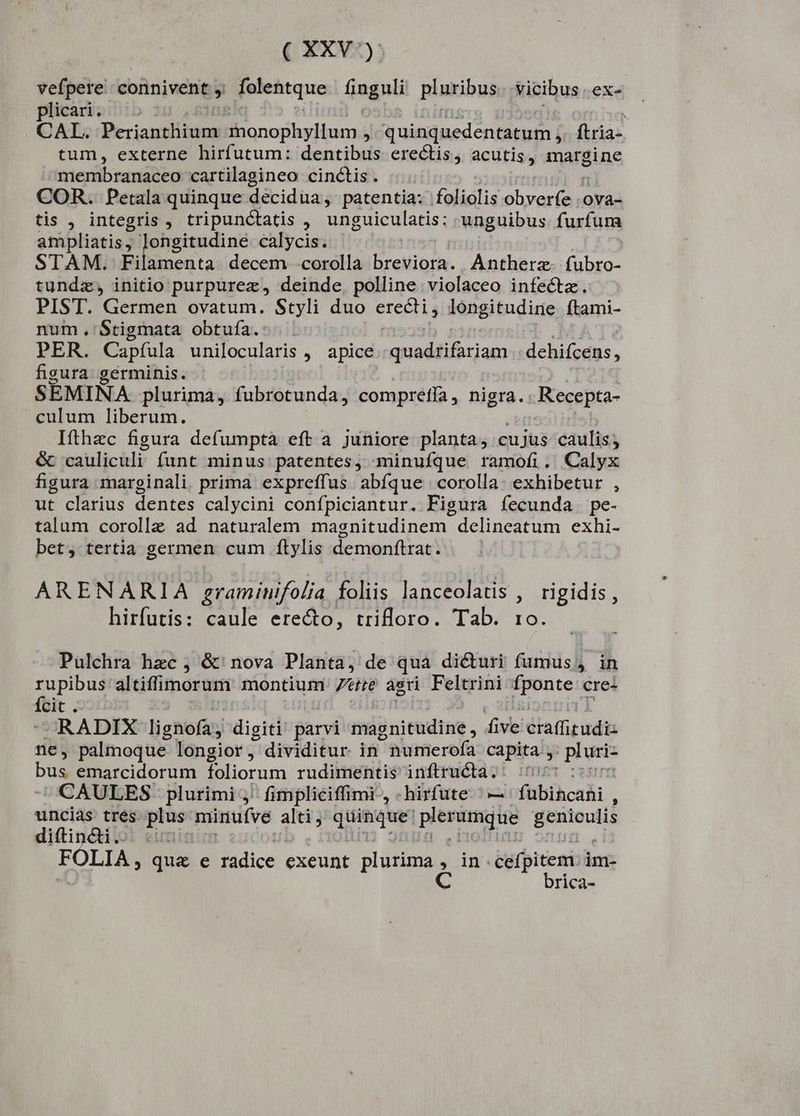 vefpere coinivent y folehtque finguli pluribus vicibus .ex- plicari. i CAL. Perianthium qi rai quinquedentatum ; tria: tum, externe hirfutum: dentibus erectis; acutis margine membranaceo cartilagineo cinctis. COR. Petala quinque décidua, patentia: foliolis obyaríeu oYa- tis , integris, tripunctatis , unguiculatis: unguibus furfum ampliatis, | clus calycis. STAM. Filamenta decem corolla breviora. Antherz aee tundz, initio purpurez, deinde, polline violaceo infectz. PIST. Germen ovatum. Styli duo erectis longitudine ftami- num, Stigmata obtufa.: PER. Capfula unilocularis , apice | quadrifariam dehifcens, figura germinis. SEMINA plurima, fubrotunda, compretía , nigra. Recepta- culum liberum. Ifthzc figura defumpta eft a juniore planta; cujus- caulis; &amp; cauliculi funt minus: patentes, minufque ramofi. Calyx figura marginali. prima expreffus abfque corolla: exhibetur , ut clarius dentes calycini confpiciantur. Figura fecunda. pe- talum corolle ad naturalem magnitudinem. delineatum exhi- bet, tertia germen cum ftylis demonftrat. ARENARIA graminifolia foliis lanceolatis , rigidis , hirfutis: caule erecto, trifloro. Tab. ro. Pulchra hzc , &amp; nova Planta, de qua dicturi fumus, in P dgabn altiffimorum montium Pte agri Feltrini Bronte cre: cit. RADIX lignofa; digiti parvi magnitudine, five éraffirudiz ne, palmoque longior, dividitur. in ^ numerofa capita. » os bus emarcidorum foliorum rudimentis inftructa.' :' CAULES plurimi; fimpliciffimi , -hirfute : — fübihcahi , uncias tres plus: minufve alti, SRM Jg is geniculis diftin&amp;i. FOLIA, quae e radice exeunt phe in. cefpitem. im- | rica-