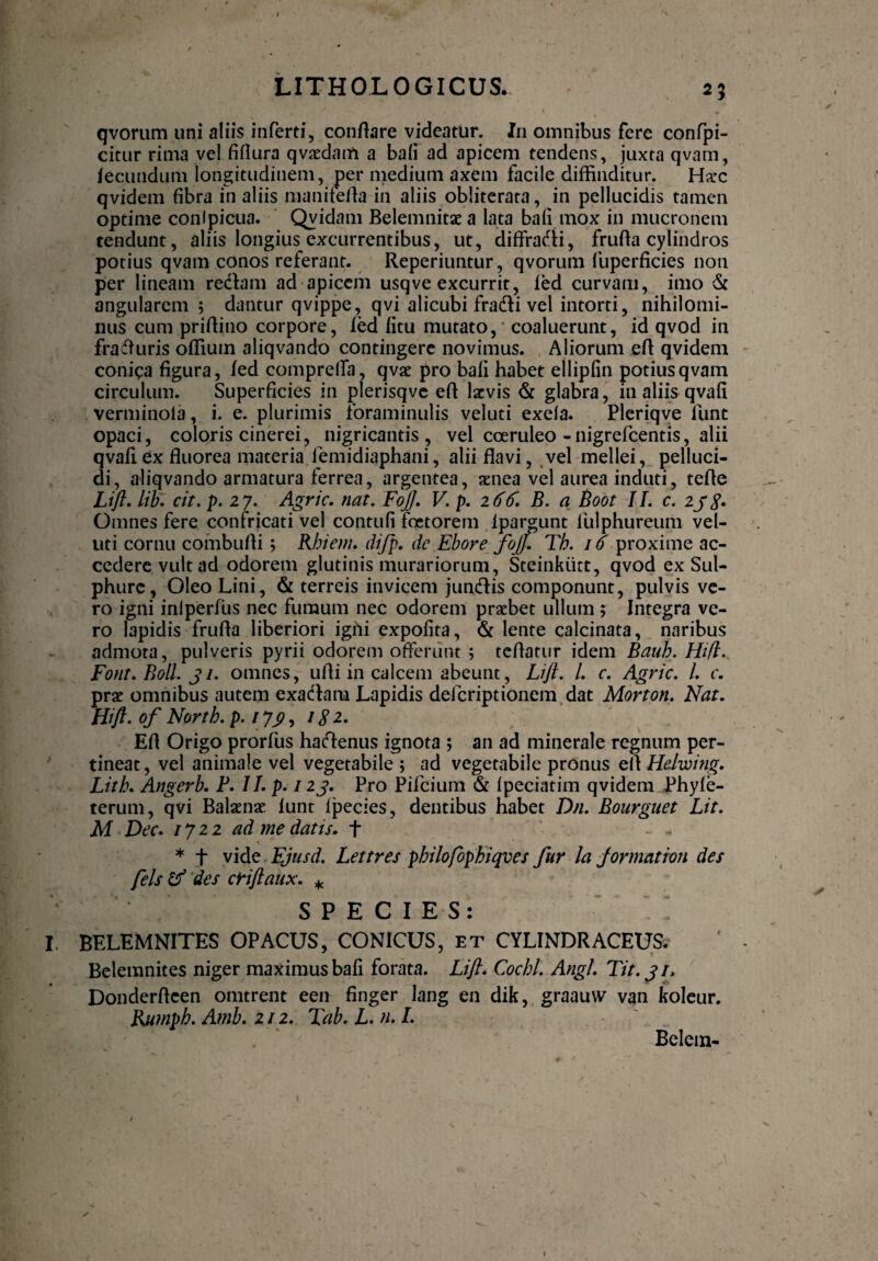 25 qvorum uni aliis inferti, conflare videatur. I11 omnibus fere confpi- citur rima vel fiflura qvaedam a bafi ad apicem tendens, juxta qvarn, fecundum longitudinem, per medium axem facile diffinditur. Hsc qvidem fibra in aliis manitefla in aliis obliterata, in pellucidis tamen optime conlpicua. Qvidatii Belemnitaea lata bafi mox in mucronem tendunt, aliis longius excurrentibus, ut, diffrafti, frufla cylindros potius qvam conos referant. Reperiuntur, qvorum fuperficies non per lineam redlam ad apicem usqve excurrit, fed curvam, imo & angularem 5 dantur qvippe, qvi alicubi fradti vel intorti, nihilomi¬ nus cum priftino corpore, led fitu mutato, coaluerunt, id qvod in frafluris offiuin aliqvando contingere novimus. Aliorum efl qvidem coniqa figura, fed comprelfa, qvae pro bali habet ellipfin potius qvam circulum. Superficies in plerisqve efl laevis & glabra, in aliis qvafi verminola, i. e. plurimis foraminulis veluti exela. Pleriqve lunt opaci, coloris cinerei, nigricantis, vel coeruleo -nigrefeentis, alii qvafi ex fluorea materia lemidiaphani, alii flavi, vel mellei, pelluci¬ di, aliqvando armatura ferrea, argentea, aenea vel aurea induti, tefle Lift. lib. cit. p. 27. Agrie, nat. Fojj. V. p. 266. B. a Boot II. c. 23 3. Omnes fere confricati vel contuli faetorem fpargunt lulphureum vel¬ uti cornu combufli; Khiem. difp. dc Ebore fojj. Tb. 16 proxime ac¬ cedere vult ad odorem glutinis murariorum, Steinkutt, qvod ex Sul¬ phure, Oleo Lini, & terreis invicem jundlis componunt, pulvis ve¬ ro igni iniperfus nec fumum nec odorem praebet ullum ; Integra ve¬ ro lapidis frufla liberiori igni expofita, & lente calcinata, naribus admota, pulveris pyrii odorem offerunt ; teflatur idem Bauh.Hifi. Font. Boli, 3 1. omnes, ulli in calcem abeunt, Lift. /. c. Agrie. I. c. prae omnibus autem exadlam Lapidis defcriptionem dat Morton. Nat. Hift. of Nortb. p. ijj/, 1S 2. Efl Origo prorfus haftenus ignota ; an ad minerale regnum per¬ tineat , vel animale vel vegetabile ; ad vegetabile pronus ell Helwing. Litb. Angerb. P. II. p. 123. Pro Pifcium & Ipeciatim qvidem Phyfe- terum, qvi Balaenae lunt fpecies, dentibus habet Dn. Bourguet Lit. M Dee. 1722 ad me datis, t * t vide Ejusd. Lettres philofophiqves fur la jormation des fels & des criftaux. * SPECIES: I, BELEMNITES OPACUS, CONICUS, et CYLINDRACEUS. Belemnites niger maximus bafi forata. Lift. Coebi. Angi. Tit. 31, Donderflcen omtrent een finger lang en dik, graauw van koleur. Kumpb. Amb. 212. Tab. L. n. I.