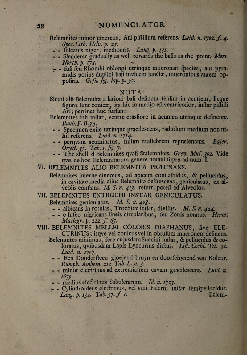 Belemnites minor cinereus, Ari pidillum referens. Luid. n. ij02.f 4. Spec. Litb. Helv. p. 2j. - - iulcatus niger, mediocris. Lang. p. iji. - - Slenderer gradually as well towards the balis as the point. Mon, Nortb. p. 17$. - ^ \ • - fufifeu Rhombi oblongi utrinque mucronati fpecies, aut pyra¬ midis potius duplici ban invicem junda?, mucronibus autem op- politis. Gefn.Jig. lap.p. yi. ' NOTA: Sicuti alii Belemnitz a latiori bali delinunt fenlim in acutiem, ficque figurae funt conicae, ita hic in medio ed ventricolior, inftar pidilli Ari; pertinet huc forfan: Belemnites fuli indar, ventre crasliore in acumen utrinque delinente. Bank. F. B.34. ‘ - - Specimen exile utrinque gracilescens, radiolum medium non ni¬ hil referens. Luid. n.'1714. - - perqvam acuminatus, fufum muliebrem repraefentans. Bajer. OrycL jj. Tab.i.fg.7. - - Tlie sheir d Belemnites qvali Stalemnites. Grew.MuL.j02. Vide qvac de hoc Belemnitarum genere notavi lupra ad num. I. VI. BELEMNITES ALIO BELEMNITA PRAEGNANS. Belemnites inferne cinereus , ad apicem coni albidus, & pellucidus, in cavitate media alius Belemnita delitescens , geniculatus, ex al¬ veolis coiidans. M. S. n. 41J. referri poted ad Alveolos. VII. BELEMNITES ENTROCHI INSTAR GENICULATUS. Belemnites geniculatus. M. S. n. 40$. -- albicans in rotulas, Trochitae indar, divifus. M.S.n.424. - - e fufeo nigricans lineis circularibus, feu Zonis notatus. Hermi Maslogr. p. 222. f 6j. VIII. BELEMNITES MELLEI COLORIS DIAPHANUS, five ELE¬ CTRINUS ; isqve vel conicus vel in obtufum mucronem delinens. Belemnites minimus, fere cujusdam Succini indar, & pellucidus & co¬ loratus , qvibusdam Lapis Lyncurius didus. Lijt. Cochl. Tit. J2. Luid. n. 1707\ - - Een Donderdeen gloejend bruyn en doorfchynend van Koleur. Rumpb. Amboin. 212. Tab. L. n. j. - - minor eledrinus ad extremitatem cavam gracilescens. Luid, n, 1679. - - medius eledrinus Sabuletarum. Id. n. 172J. - - Cylindroideus eledrinus, vel vini Falerni indar femipellucidus. Lang. p. ij2, Tab.j7. f /. Belem-