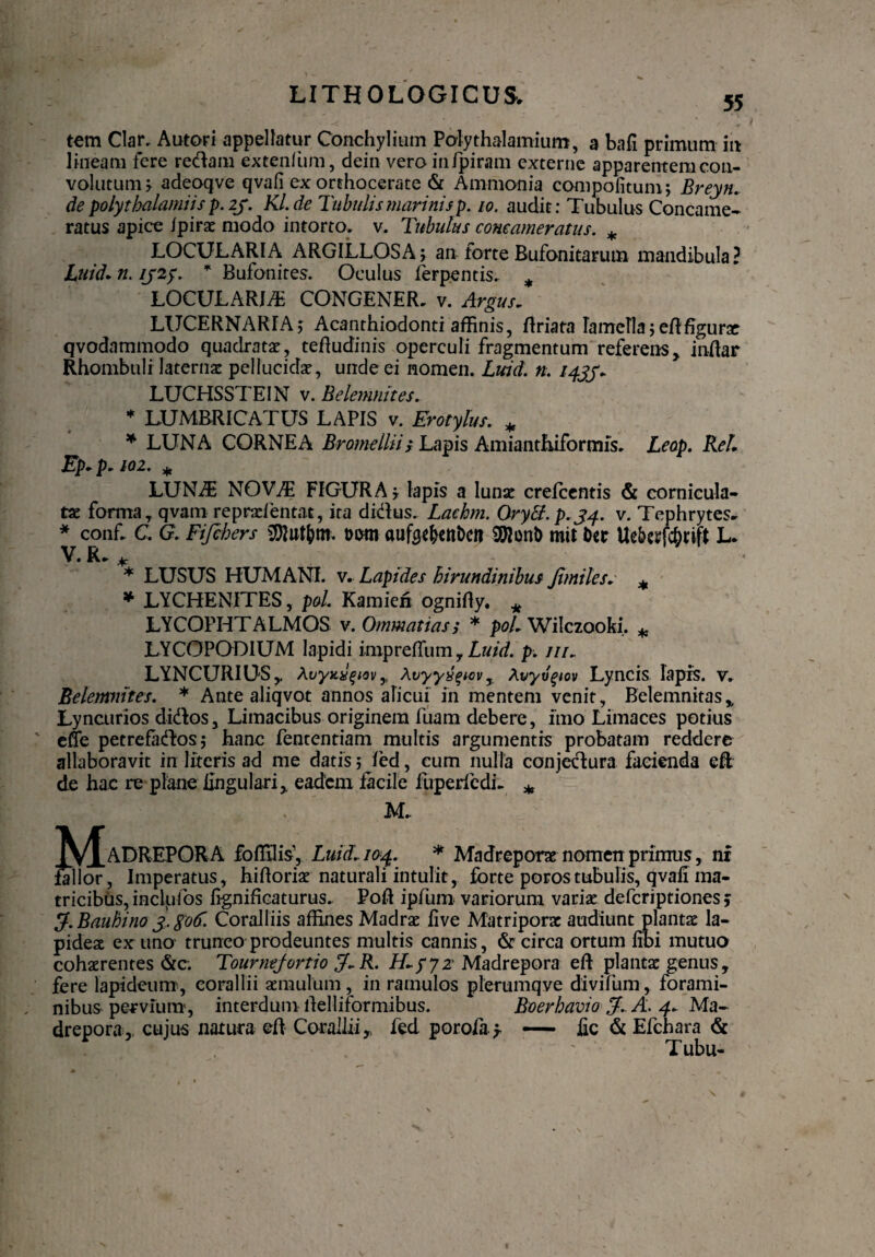 tem Clar. Autori appellatur Conchylium Polythalamiuro, 3 bafi primum in lineam fere redam extenfum, dein veroinfpiram externe apparentem con¬ volutum? adeoqve qvafi ex orthocerate & Ammonia compofitum; Breyn.. de polytbalamiis p. 23. Kl.de Tubulis marini sp. 10. audit: Tubulus Concame¬ ratus apice ipirae modo intorto, v. Tubulus concameratus. * LOCULARIA ARGILLOSAj an forte Bufonitarum mandibula? Luid. n. ij2p. * Bufonites. Oculus ferpentis, * LOCULARLE CONGENER, v. Argus. LUCERNARIA; Acanthiodonti affinis, ffriata lamcTlajefffigurae qvodammodo quadrata, tefludinis operculi fragmentum referens, inftar Rhombuli laterna pellucida, unde ei nomen. Luid. n. 143J. LUCHSSTEIN v. Belemnites. * L.UMBRICATUS LAPIS v. Erotylus. * * LUNA CORNEA Bromeilii; Lapis Amianthiformis. Leap. KeL Ep. p. IQ2. * LUNAE NOVAE FIGURA; lapis a luna; crelcentis & cornicula¬ ta; forma, qvam repralentat, ita didus. Lachm. OryB.p.34. v. Tephrytes* * conf. C. G. Fifcbers SDlutfom. t>om aufee^nbctt 05?onl> mit Der Uebcsfc&rift L. * LUSUS HUMANI, v. Lapides hirundinibus Jimiles* * LYCHENITES, pol. Kamien ognirty. * LYCOPHT ALMOS v. Ommatias; * poL Wilczooki. M LYCOPODIUM lapidi imprefliim y Luid. p. ni„ LYNCURIOS, huyuilqiov, Xvyyxqicv, Avyugiov Lyncis lapis, v. Belemnites. * Ante aliqvot annos alicui in mentem venit, Belemnitas, Lyncurios didos, Limacibus originem fuam debere, imo Limaces potius ede petrefados; hanc fententiam multis argumentis probatam reddere allaboravit in literis ad me datis; led, cum nulla conjedura facienda ell de hac re plane lingulari, eadem facile fupericdi. * M. MADREPORA fofTdis', Luid.. 104. * Madrepora nomen primus, ni , Imperatus, hifloria naturali intulit, forte porostubulis, qvafi ma¬ tricibus, inclpfos fignificaturus.. Poft ipfum variorum varia deferiptiones j Lf.Bauhino 3. god. Coralliis affines Madra live Matriporac audiunt planta; la¬ pidea ex uno trunco prodeuntes multis cannis, & circa ortum libi mutuo coharentes &c. Tournejortio H-pyz Madrepora eft planta genus, fere lapideum, corallii amulum, in ramulos plerumqve divifum , forami¬ nibus pervium, interdum lfelliformibus. Boerhavio J. A. 4. Ma¬ drepora, cujus natura elf Corallii, fed poroiaf — fic & Efchara & . ' Tubu-