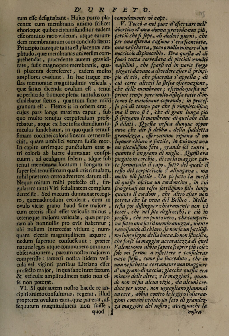 tum effe defignabant * Hujus porro pla¬ centa; cum membranis animo fcilicet chorioque quibuscircumfunditur eadem effeomnino ratio videtur, atque earum- dem membranarum cumconclufofoetu' Principio namque tanta eft placenta; am- plitudo ,quae membranas univerfim com- préhendat, procedente autem gravidi- tate, fufis magnopere membranis, qua¬ li placenta decrefceret, eadem multo ampliores evadunt. In hac itaque nt>- ftra memorata; magnitudini veficula , quae fatkis dicenda ovulum eft , tenui acperlucido humore piena tantuluscon- cludebatur foetus , quantum fané milij granum eft . Flexus is in orbem erat , cujus pars longe maxima caput , fub quo multo tenujus corpufculum profe- rebatur, atque ex hoc infra dimidiumfu- niculus fundebatur, in quoquafi tenuif- fimam coccinei colori lineam cernere li- chit, quam umbilici venam fuiffe reor . In capite utrimque pundulum erat a- tri coloris ab latere dumtaxat confpi- cuum , ad oculQrum fedem , idque fub tenui membrana Iocatum : longam in- fuper fed tenuiflimam quafi ori rimulam, nihilpraeterea certoadvertere datutneft. Neque mirum mihi profedo eft, fin- gularem tanti Viri fedulitatem compiuta detexiffe. Sed mecum dumtaxat recogi¬ to, quemadmodum cecidcrit , eum in ovulo vici# grano haud fané majore , cum ceteris illud effet veficulis minus , ceter#que majores veficul#, qua; perpe- ram ab nonnullis prò ovis habentur ; ubi nullum intercedat vitìum ; num- quam ciceri magnitudinem sequare > nedum fuperare confuéfcunt : praeter naturae leges atque communem omnium obfervationem, partum noftro majorem comperiffe : tametfi noftra itidem vefi- cula vel viginti partibus Lìtrìana effet profedo ma jor, in qua fané inter foetum & veficul# amplitudinem ratio non ef¬ fe non poterat. VI. Si quis autem noftro hac de re an¬ cipiti animoconfulturus, regerat , illud propterea ovulum eam,qua; par erat, af- fe^uutum magnitudijiem non fuiffe > quod comodamente vi cape. V. Toc co a noi pure d' 6fservare tìfìl abortivo d'una donna gravida non più, perciò chef [epe, di dodeci giorni, che per una efierna cagione s'era [conciata, una ve fichetta, poco o nulla minore d'un noeàvolo dipinocchio. Era quejìa ai di fuori tutta corredata di piccioli e moki vafeliini, che fparfied in varie fogge piegati davano a divedere e [ter- il princi¬ pio dì ciò, che placenta s'appella ,• di cui corre altresì la fléfsa ofservanone * che delle membrane; efsendoquefia né* primi tempi pure moltodiftefa tutte d'in¬ torno le membrane coprendo; in procef fo poi di tempo par Che fi rimpìccolifca\ ma il vero fi è , che di gran lunga più fi [piegano le membrane di quelche ella fi dilati. jQvefla ve fica dunque oppur uovo che dir fi debba , della [uddetta grandezza , offervammo ripiena d' un liquore chiaro e fot t ile, in cui nuotava un piccolìjfimo feto , grande fol tanto , quanto è un grano di miglio. Quefli era piegato in cerchio, di cui la maggior par¬ te formavaia il capo, [otto del quale il refio del cor pie àvolo /’ allungava , ma molto più fiottile . Un pò /otto la metà di quefto ufeiva un cordoncino , in cui fc orge vafi un rojso jottilijfimo fillo lungo quanto il cordone , che altro efser non poteva che la vena del Bellico . Nella tefta poi diftinguer chiaramente non vi potei, che nel fito degli oc eh}, e ciò in profilo, che un punto nero, che compari¬ va [otto una fottìimembramtzza y niente ravviando di chiaro ife non fe un fottilijfi- mo lungo jegno della bocca.lo non iftupifcù, che forfè la maggior accuratezza di quel Valentuomo abbia faputo[coprir più cofe X fola mi fermo a riflettere e confiderar meco fieffo-i come fi a preceduto , che in una veficbetta certamente non maggiore d'un grano dì veccia ; giacche quejìa era minore delle altre ; e le maggiori, quan¬ do non vi fra alcun vizio, da alcuni cre¬ dute per uova, non uguagliano giammai uncece, abbia cont ro le leggi o bofserua- Zioni comuni veduto un feto di grandez¬ za maggiore del noftro • avvegnaché la noftra