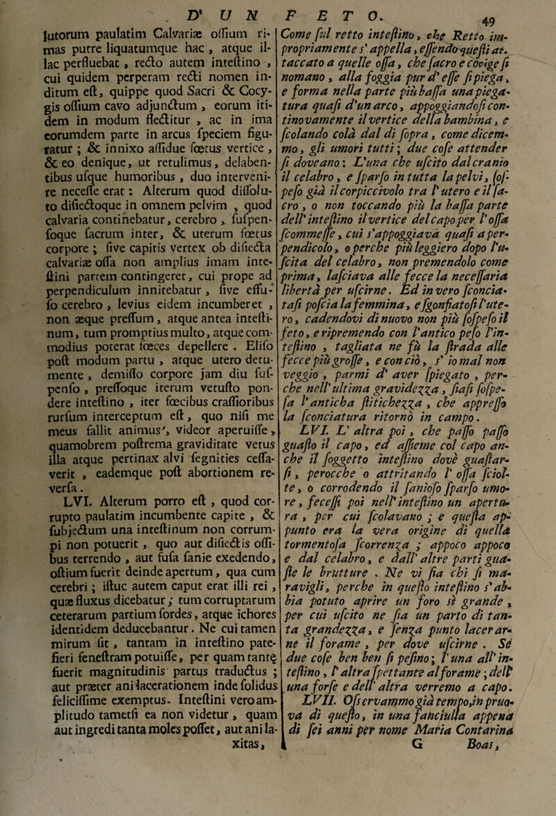 , D* U N lutorum paulatim Calvari» o(fiuni ri- mas putre liquatumque hac , atque il- lac perfluebat, redo autem infettino , cui quidem perperam redi nomen in* ditum eft, quippe quod Saai & Cocy- gis oflìum cavo adjundum , eorum iti- dcm in modum fleditur , ac in ima corumdem parte in arcus fpeciem figu- ratur ; & innixo atfidue foetus vertice , Se eo denique, ut retulimus, delaben- tibus ufque humoribus, duo interveni¬ re neceffe erat : Alterum quod diffolu- to difiedoque in omnem pelvim , quod calvaria continebatur, cerebro > fufpen- foque facrum inter, & uterum foetus corpore ; live capiris vertex ob dilieda calvari» offa non amplius imam inte¬ rini panem contingeret, cui prope ad perpendiculum innitebatur, five effu- fo cerebro, levius eidem incumberet , non seque preffum, atque antea intetti- num, tum promptius multo, atque corri' modius poterat foeces depellere . Elilo pott modum partu , atque utero detu- mente , demiflo corpore jam diu fut- penfo , preffoque iterum vetufto pon¬ tiere infettino , iter foecibus craflioribus rurtum interceptum eft, quo nifi me meus fallit animus', videor aperuiffe, quamobrem poftrema graviditate vetus illa atque pertinax alvi ffegnities ceffa- verit , eademque poti abortionem re- verfa. LVI. Alterum porro eft , quod cor- rupto paulatim incumbente capite , & fubjedum una inteftinum non corrum- pi non potuerit , quo aut difiedis ofll- bus terrendo , aut futa fanie exedendo, oftium fuerit deinde apertum, qua cum cerebri ; iftuc autem caput erat illi rei , quae fluxus dicebatur ; tum corruptarum ceterarum partium fordes, atque ichores identidem deducebantur. Ne cui tamen mirum lìt, tantam in infettino pate- fieri feneftrampotuiffe, perquamtant§ fuerit magnitudini partus tradudtus ; aut praeter ani lacerationem inde folidus feliciffime exemptus- Inteftini vero am¬ pi itudo tamttfi ea non vi detur , quam aut ingredi tanta moles poffet, aut ani la- xitas, FETO. 49 Come fui retto inteftìno, che Retto im¬ propriamente s' appella, effendoquefti at. taccato a quelle offa, che fiacro e codge fi nomano , alla foggia pur d'effe fi piega, e forma nella parte piùbaffa una piega¬ tura qua fi d'un arco, appoggi andofi con¬ tino v am ente il vertice della bambina, e [colando colà dal di [opra, come dicem¬ mo , gli umori tutti ; due coffe attender fi dove ano \ L'un a che ufeito dal cranio il celabro, e ffparffo in tutta la pelvi, (off peffo già il corpiccivolo tra /’ utero e il fa- ero , o non toccando più la ha [fa parte dell' intejììno il vertice del capo per l’offa [cammefi e, cui s'appoggiava quafi a per¬ pendicolo , o perche più leggiero dopo l'u- feita del celabro, non premendolo come prima. Inficiava alle fecce la necefifaria libertà per ufeirne. Ed invero [concia- tafiì poffeia la femmina, e[gonfiatofit l'ute¬ ro , cadendovi di nuovo non più fofpeffo il feto, e ripremendo con l'antico pefio l'ìn- tefflino , tagliata ne fù la ftrada alle fecce più groffe, e con ciò, s* io mal non veggio , parmi d' aver [piegato , per¬ che nell'ultima gravi de g^a, fia fi [ofpe- fa l'anticha ftitichegga , che appreffo la [conciatura ritornò in campo. LVI. L' altra poi, che paffb gaffa guaflo il capo, ed ajfieme col capo an¬ che il [oggetto ìntejìino dovè guaftar- fi, perocché o attutando ì offa fciol- te, o corrodendo il [anioffo ffparffo umo¬ re , fece (fi poi nell in t eft ino un apertu¬ ra , per cui [colavano ; e quefta ap¬ punto era la vera origine di quella tormentoffa ficorrenga ; appoco appoco e dal celabro, e dall' altre parti gua- fle le brutture . Ne vi fia chi fi ma¬ ravigli, perche in quefto inteftino s'ab¬ bia potuto aprire un foro sì grande , per cui ufeito ne fia un parto di tan¬ ta grandegga, e [enga punto lacerar¬ ne il forame , per dove ufeirne . Se due cofe ben ben fi pefino ; l una all’ in¬ terino , r altra fgettante al forame ; delP una forfè e dell' altra verremo a capo. LVII. Oj Servammo già tempo,in pruo¬ va di quefto, in una fanciulla appena di [et anni per nome Maria Contarina G Boas,