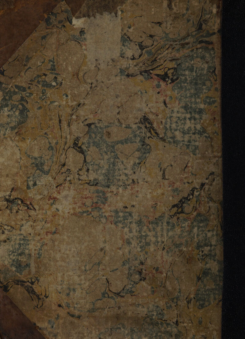 No text description is available for this image