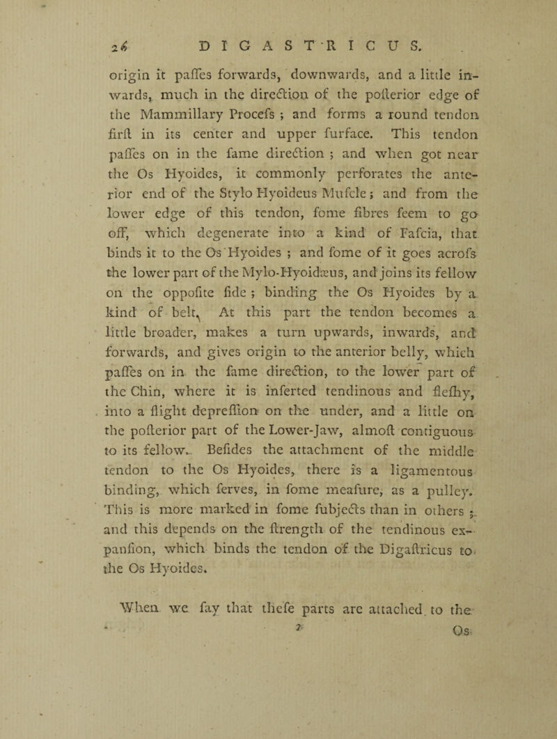 i origin it paffes forwards, downwards, and a little in¬ wards, much in the direction of the pofierior edge of the Mammillary Procefs ; and forms a round tendon fil'd in its center and upper furface. This tendon paffes on in the fame diredtion ; and when got near the Os Hyoides, it commonly perforates the ante¬ rior end of the Stylo Hyoideus Mufcle; and from the lower edge of this tendon, fome fibres feem to go off, which degenerate into a kind of Fafcia, that binds it to the Os Hyoides ; and fome of it goes acrofs the lower part of the Mylo-Hyoidceus, and joins its fellow on the oppofite fide ; binding the Os Hyoides by a kind of belt. At this part the tendon becomes a little broader, makes a turn upwards, inwards, and forwards, and gives origin to the anterior belly, which paffes on in the fame diredlion, to the lower part of the Chin, where it is inferred tendinous and fiefhy, into a flight depreflion on the under, and a little on the pofierior part of the Lower-Jaw, almoft contiguous to its fellow. Befides the attachment of the middle tendon to the Os Hyoides, there is a ligamentous binding, which ferves, in fome meafure, as a pulley. This is more marked in fome fubjedls than in others and this depends on the firength of the tendinous ex- panfion, which binds the tendon of the Digafiricus to the Os Hyoides. When we fay that thefe parts are attached, to the Os 7