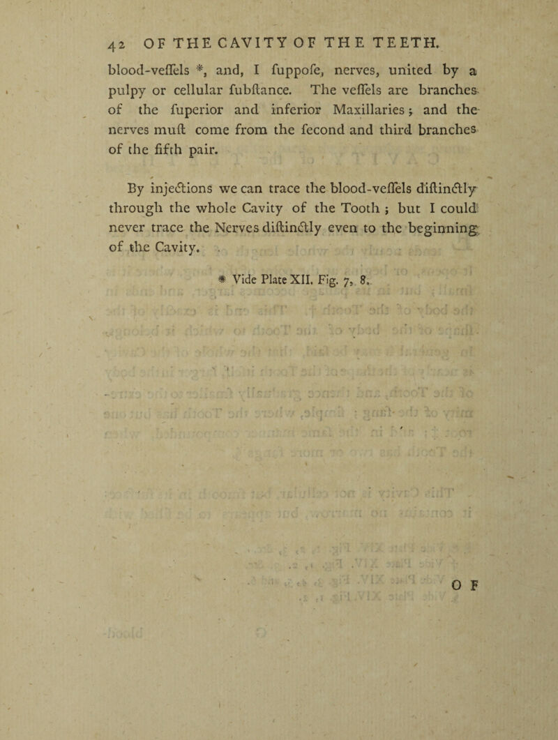 blood-veflels *, and, I fuppofe, nerves, united by a pulpy or cellular fubftance. The veflels are branches of the fuperior and inferior Maxillaries j and the nerves mull come from the fecond and third branches of the fifth pair. .fi : ’ - > • *  . . . By injections we can trace the blood-veflels diflinctly through the whole Cavity of the Tooth ; but I could never trace the Nerves diflinctly even to the beginning, of the Cavity. # Vide Plate XII. Fig. 7, 8,.