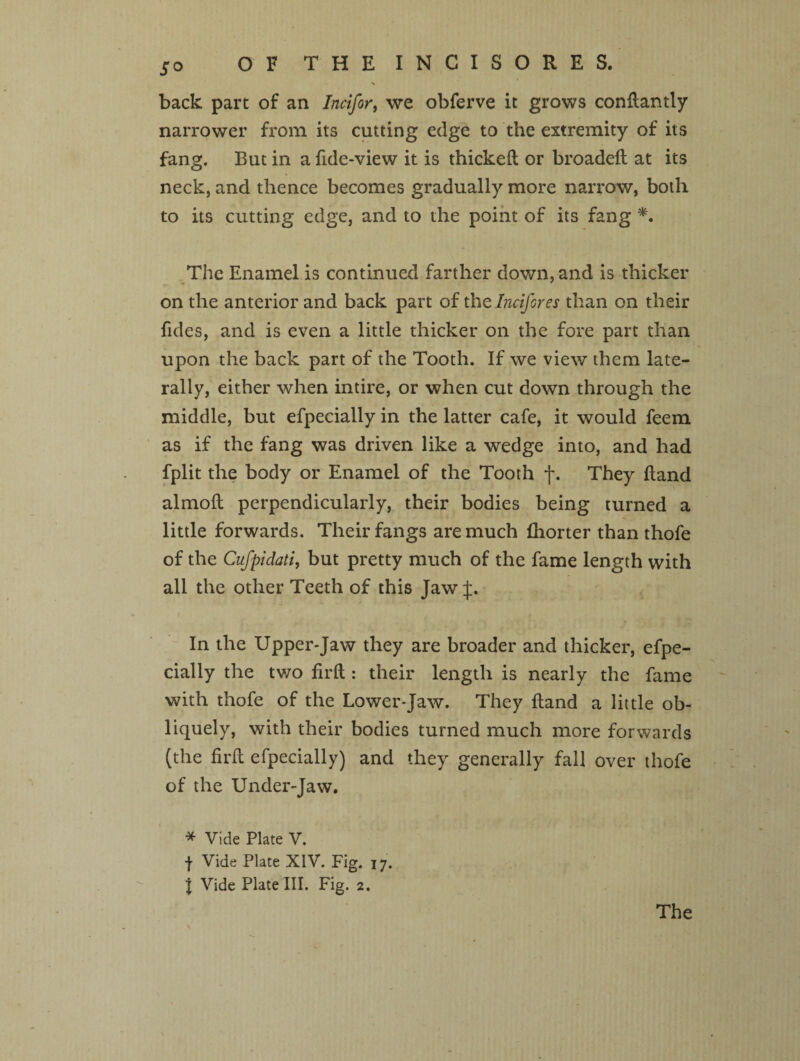 OF THEINCISORES. back part of an Incifor, we obferve it grows conftantly narrower from its cutting edge to the extremity of its fang. But in a fide-view it is thickeft or broadeft at its neck, and thence becomes gradually more narrow, both to its cutting edge, and to the point of its fang *. The Enamel is continued farther down, and is thicker on the anterior and back part of the Incifores than on their Tides, and is even a little thicker on the fore part than upon the back part of the Tooth. If we view them late¬ rally, either when intire, or when cut down through the middle, but efpecially in the latter cafe, it would feem as if the fang was driven like a wedge into, and had fplit the body or Enamel of the Tooth f. They Hand almoft perpendicularly, their bodies being turned a little forwards. Their fangs are much fhorter than thofe of the Cufpidati, but pretty much of the fame length with all the other Teeth of this Jaw if. In the Upper-Jaw they are broader and thicker, efpe¬ cially the two fir ft : their length is nearly the fame with thofe of the Lower-Jaw. They ftand a little ob¬ liquely, with their bodies turned much more forwards (the fir ft efpecially) and they generally fall over thofe of the Under-Jaw. * Vide Plate V. f Vide Plate XIV. Fig. 17. % Vide Plate III. Fig. 2.