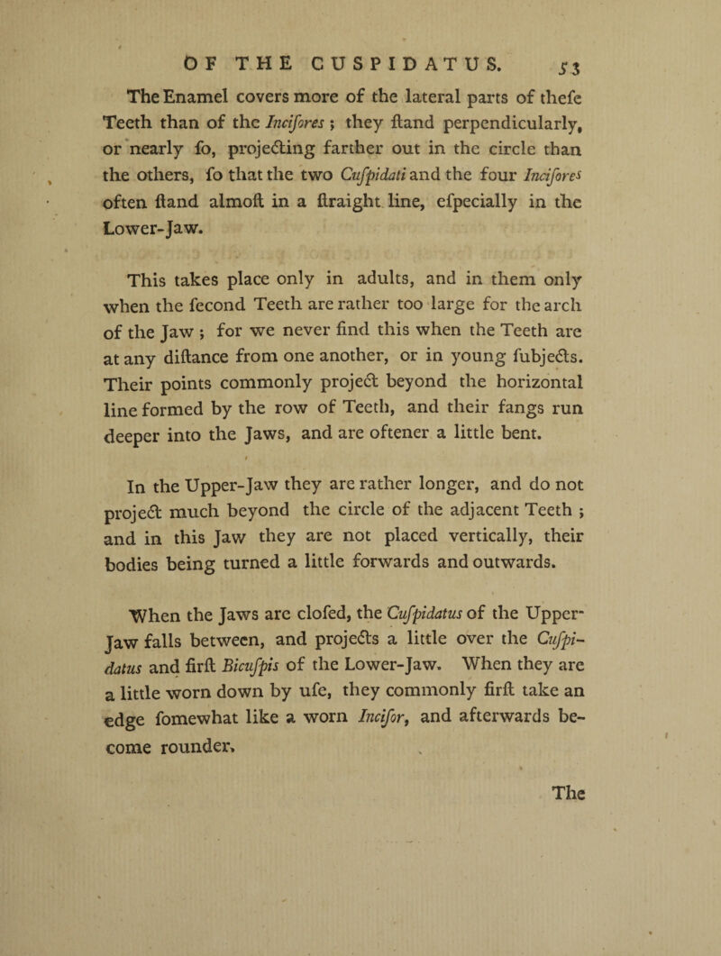 Si The Enamel covers more of the lateral parts of thefe Teeth than of the Incifores ; they ftand perpendicularly, or nearly fo, projecting farther out in the circle than the others, fo that the two Cufpidati and the four Incifores often hand almoft in a ilraight line, efpecially in the Lower-Jaw. This takes place only in adults, and in them only when the fecond Teeth are rather too large for the arch of the Jaw ; for we never find this when the Teeth are at any diftance from one another, or in young fubjeCts. Their points commonly projeCt beyond the horizontal line formed by the row of Teeth, and their fangs run deeper into the Jaws, and are oftener a little bent. # In the Upper-Jaw they are rather longer, and do not projeCt much beyond the circle of the adjacent Teeth ; and in this Jaw they are not placed vertically, their bodies being turned a little forwards and outwards. i When the Jaws are clofed, the Cufpidatus of the Upper- Jaw falls between, and projects a little over the Cufpi¬ datus and firft Bicufpis of the Lower-Jaw. When they are a little worn down by ufe, they commonly firft take an edge fomewhat like a worn Incifort and afterwards be¬ come rounder*