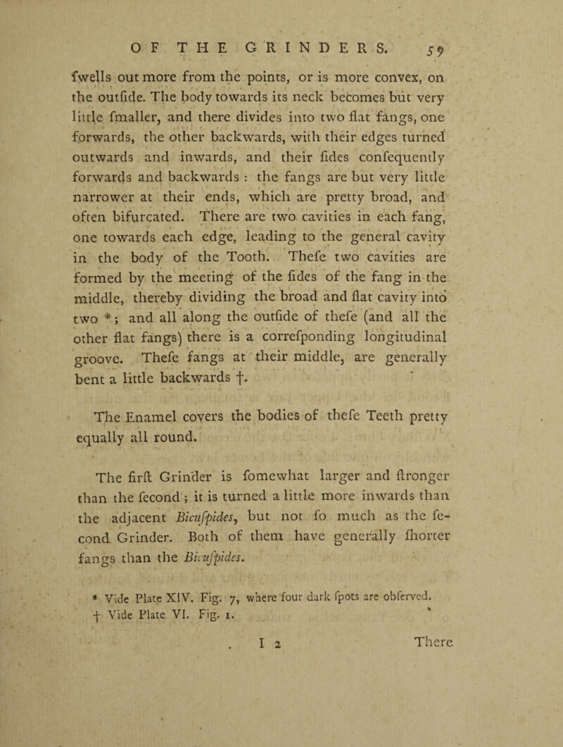 fwells out more from the points, or is more convex, on  ■ ' i  t ' 1 ' ' i  i ‘ ■ < « , _ . the outfide. The body towards its neck becomes but very little fmaller, and there divides into two flat fangs, one forwards, the other backwards, with their edges turned outwards and inwards, and their fldes confequently forwards and backwards : the fangs are but very little narrower at their ends, which are pretty broad, and often bifurcated. There are two cavities in each fang, > A* ■ \ one towards each edge, leading to the general cavity v' * ’ t . t. / * • t. -j. r \ _ in the body of the Tooth. Thefe two cavities are , . . . . .^ .. ,)•> , , formed by the meeting of the fldes of the fang in the middle, thereby dividing the broad and flat cavity into 1 \m ' ■ two and all along the outfide of thefe (and all the * • x . f other flat fangs) there is a correfponding longitudinal { i • ♦ * • 1 * groove. Thefe fangs at their middle3 are generally bent a little backwards f. The Enamel covers the bodies of thefe Teeth pretty equally all round. The firfl Grinder is fomewhat larger and flronger than the fecond ; it is turned a little more inwards than the adjacent Bicuffides, but not fo much as the fe- cond Grinder. Both of them have generally fhorter fangs than the Biatfpides. * Vide Plate XIV. Fig. 7, where four dark fpots are obferved. ■\ Vide Plate VI. Fig. 1. I 2 There