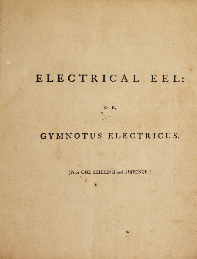 ELECTRICAL EEL O R, GYMNOTUS ELECTRICUS. [Price ONE SHILLING Euid SIXPENCE.]