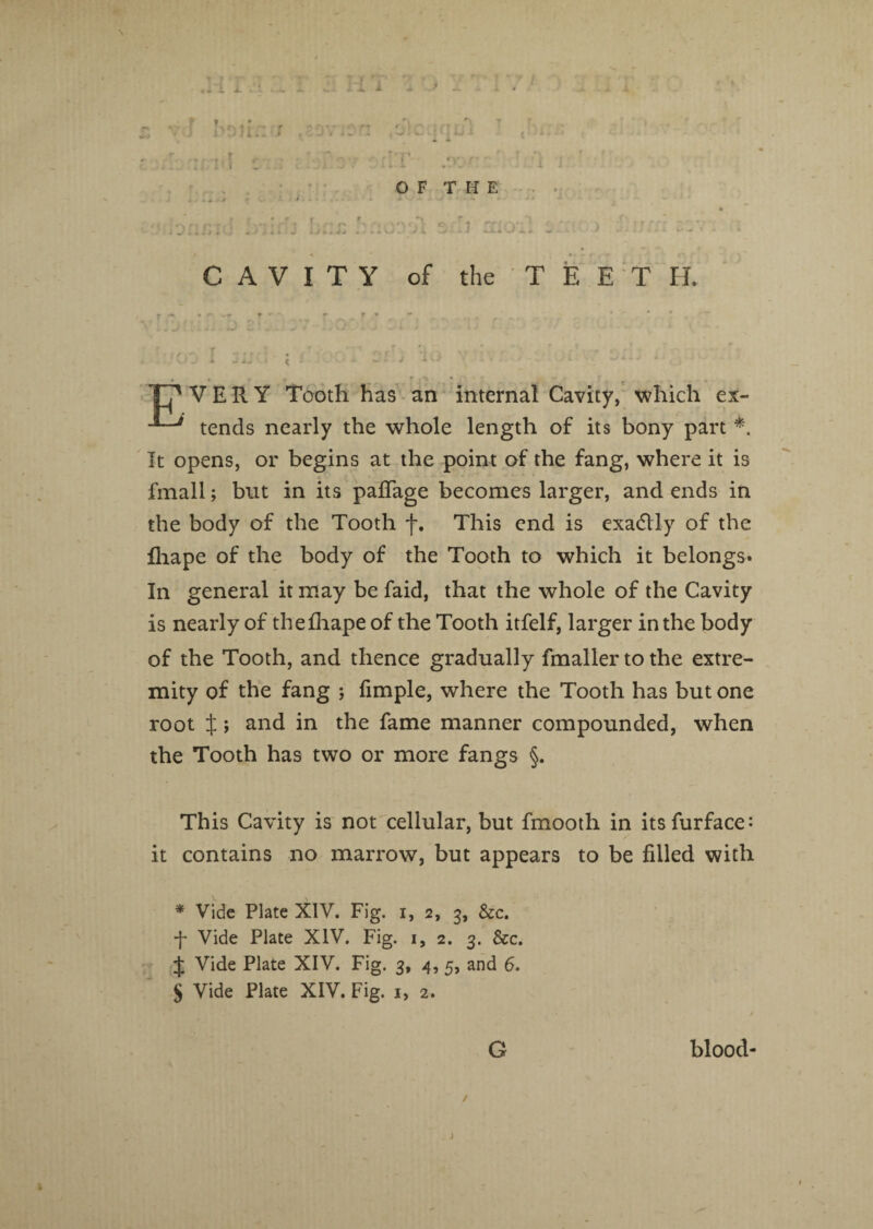 « # '■ r *,*>*■' TT'VERY Tooth has an internal Cavity, which ex- tends nearly the whole length of its bony part *. It opens, or begins at the point of the fang, where it is fnaall; but in its pafifage becomes larger, and ends in the body of the Tooth f. This end is exactly of the lhape of the body of the Tooth to which it belongs. In general it may be faid, that the whole of the Cavity is nearly of thefhape of the Tooth itfelf, larger in the body of the Tooth, and thence gradually fmaller to the extre¬ mity of the fang ; Ample, where the Tooth has but one root X; and in the fame manner compounded, when the Tooth has two or more fangs §. This Cavity is not cellular, but fmooth in itsfurface: it contains no marrow, but appears to be filled with * Vide Plate XIV. Fig. i, 2, 3, &c. f Vide Plate XIV. Fig. 1, 2. 3. &c. t Vide Plate XIV. Fig. 3, 4, 5, and 6. S Vide Plate XIV. Fig. 1, 2. G blood-